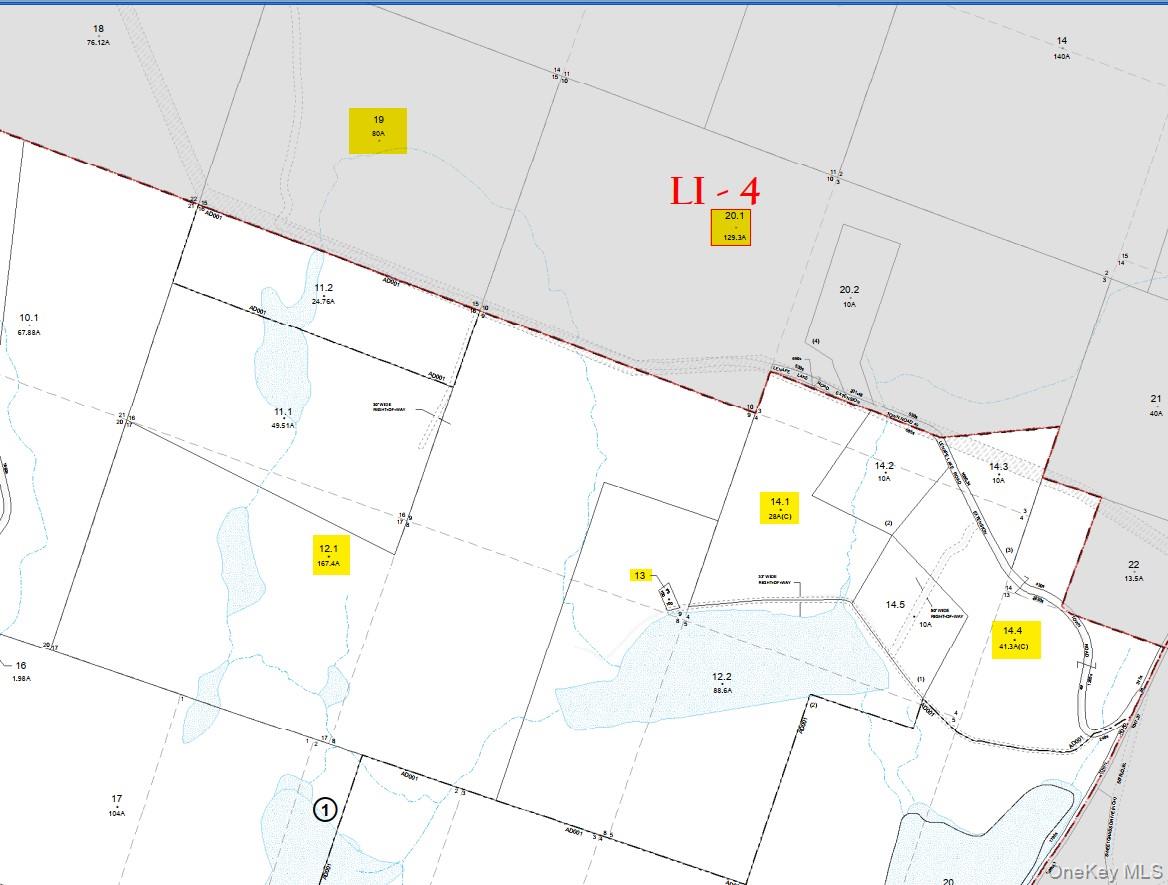 85 Lenape Lake Road, Livingston Manor, NY 12758