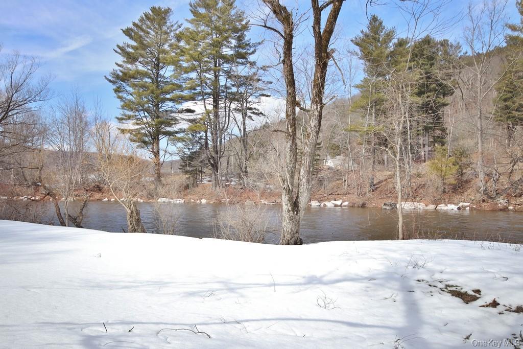 53 Yorktown Road, Roscoe, NY 12776