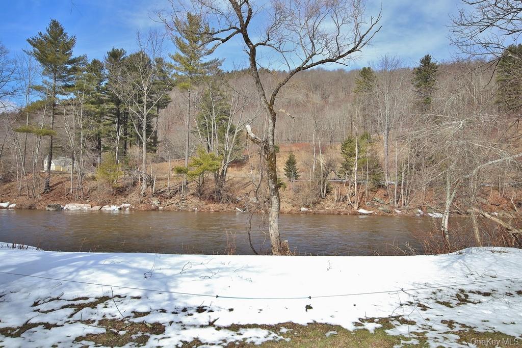 53 Yorktown Road, Roscoe, NY 12776