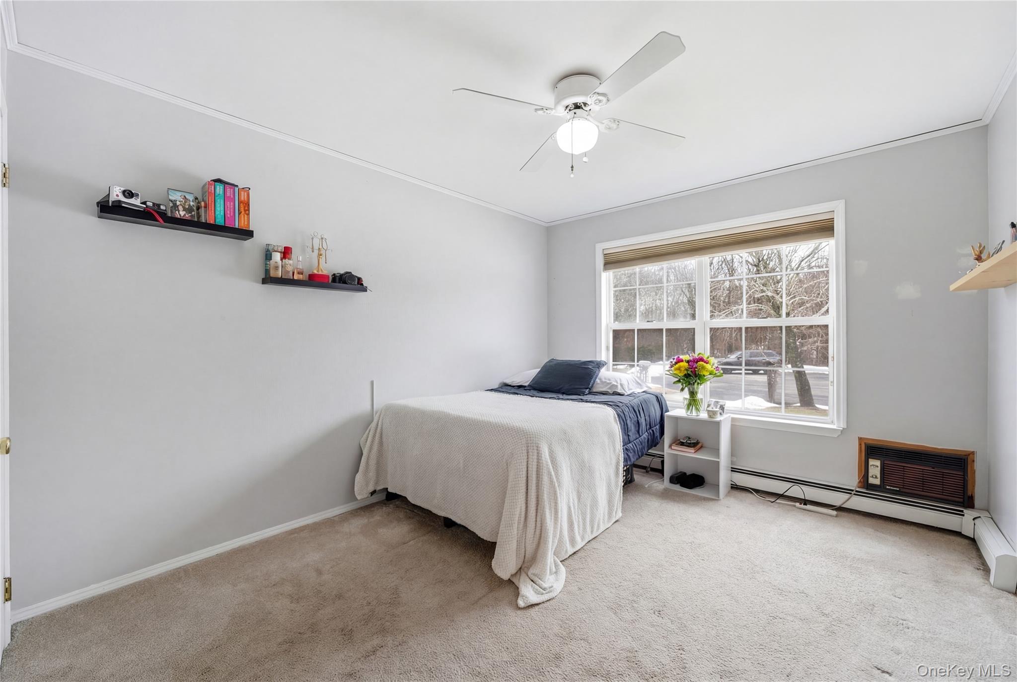 8 Lucy Court, Patchogue, NY 11772