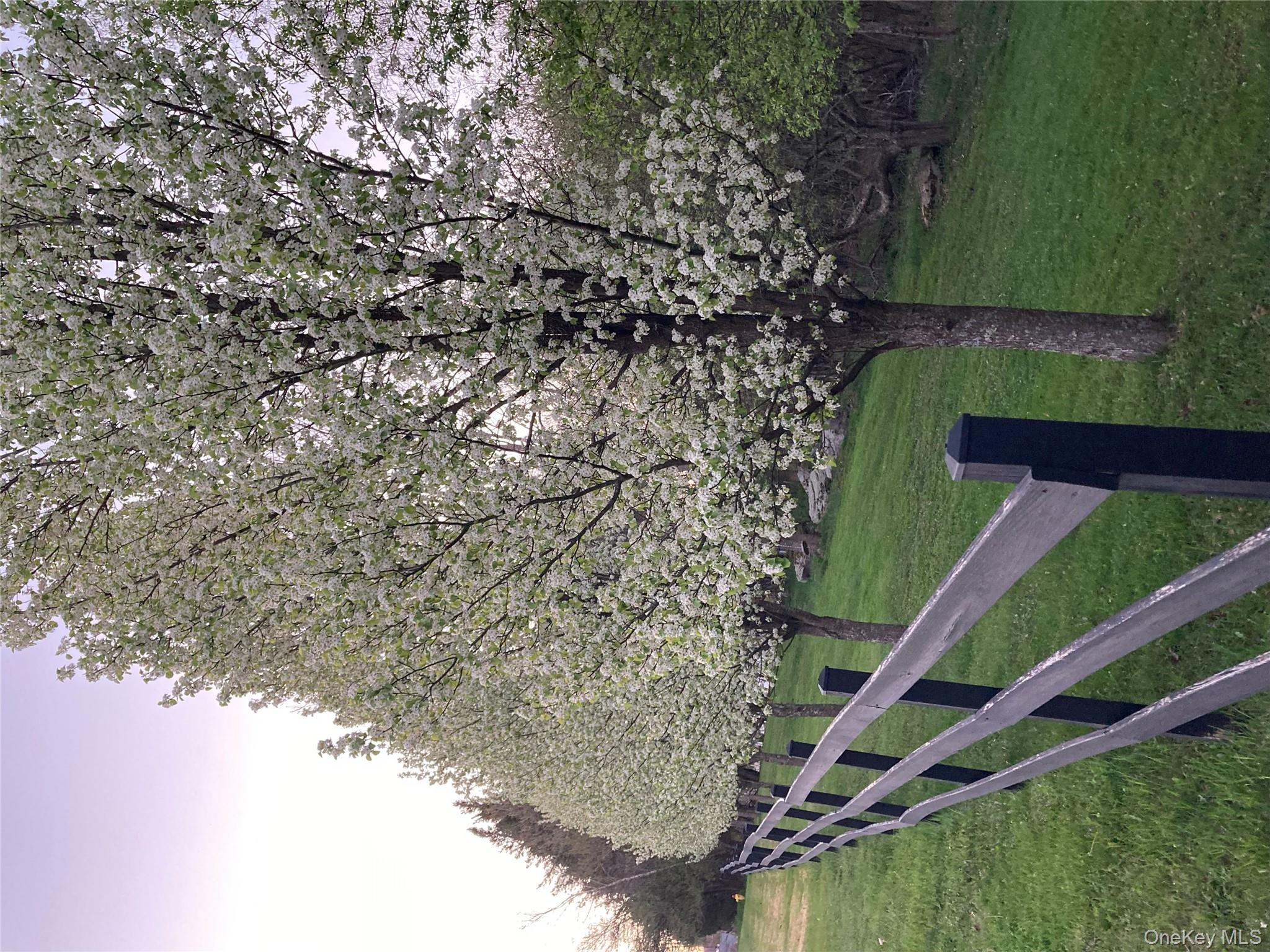 California Avenue, Liberty, NY 12754