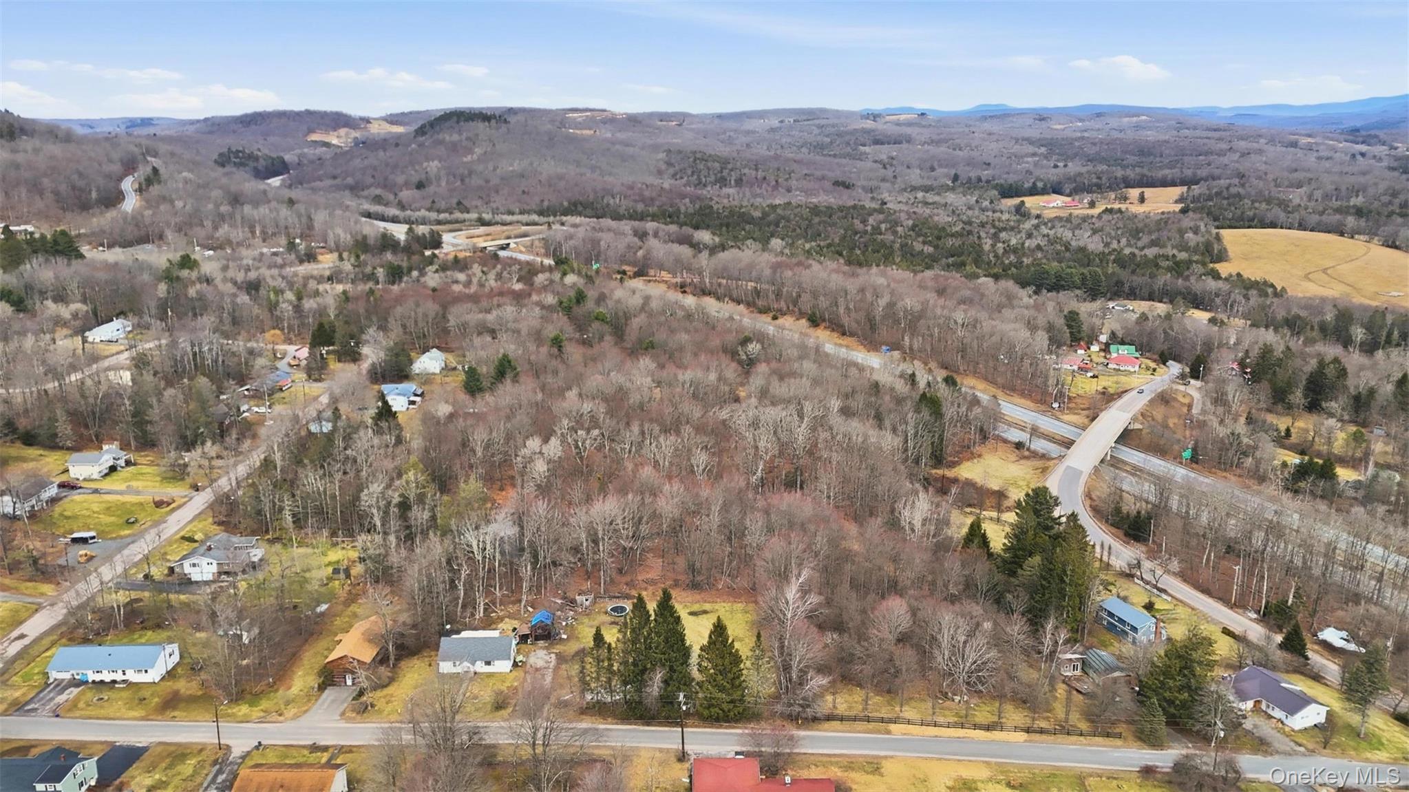 California Avenue, Liberty, NY 12754