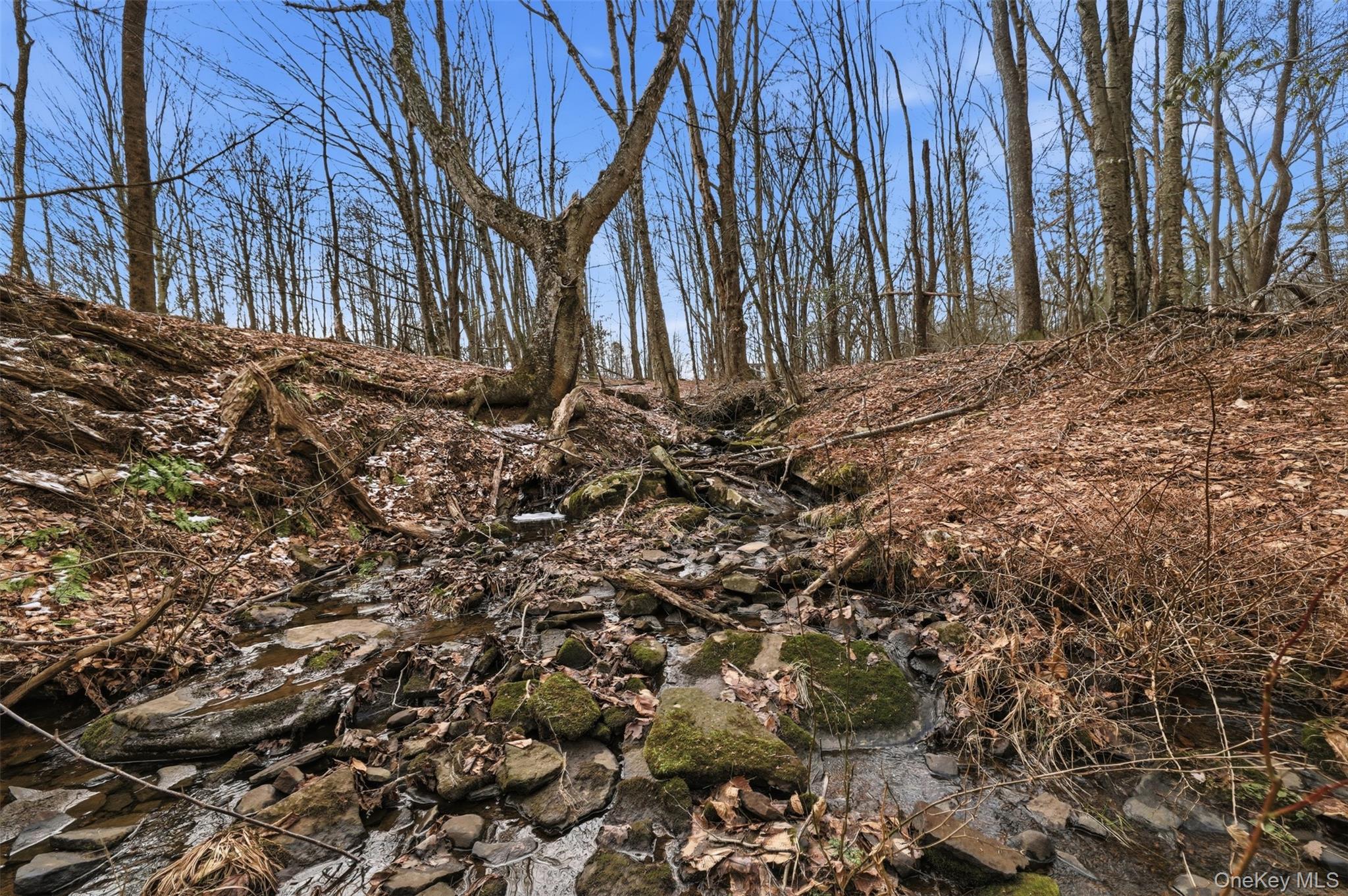 California Avenue, Liberty, NY 12754