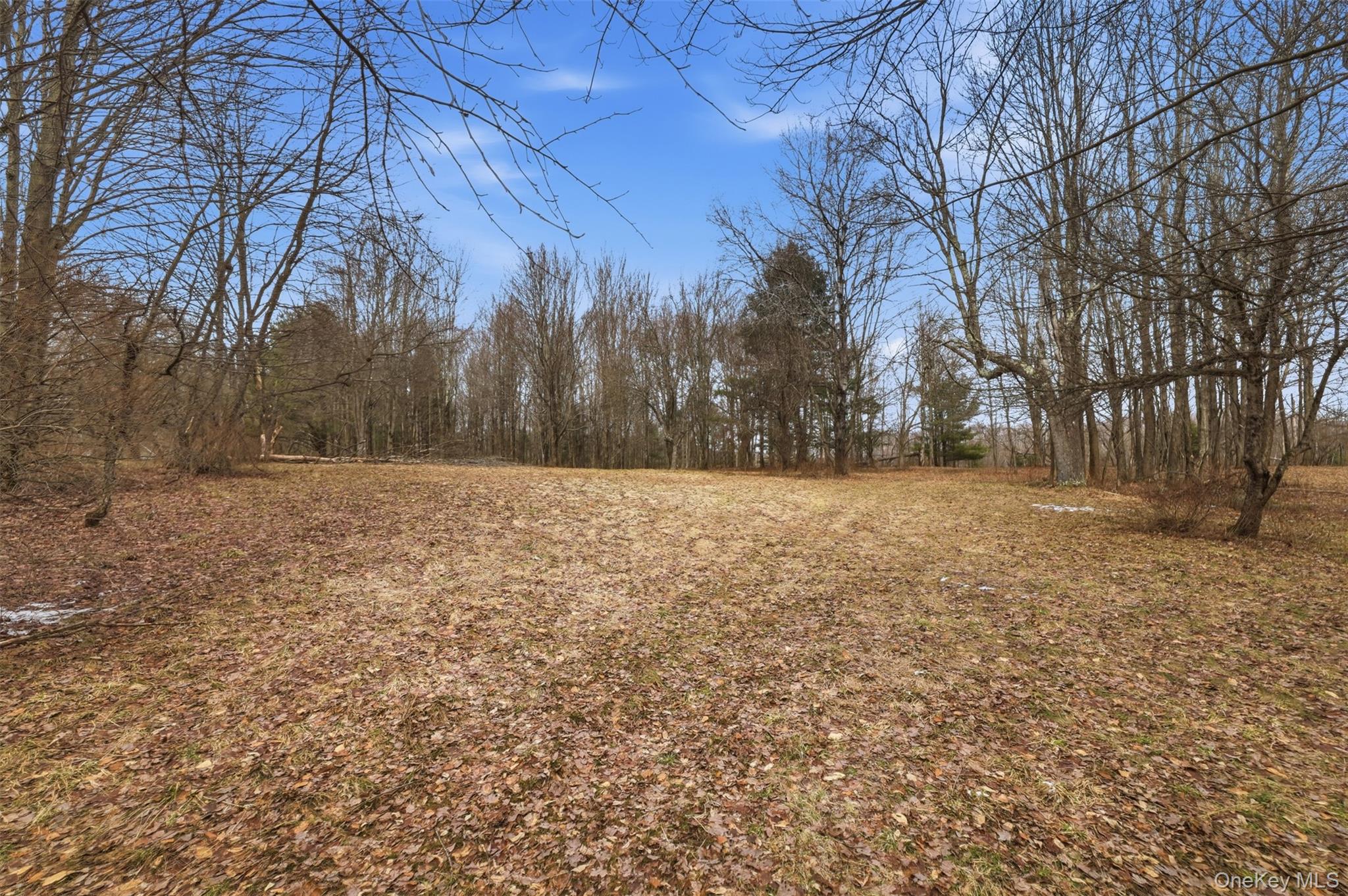 California Avenue, Liberty, NY 12754