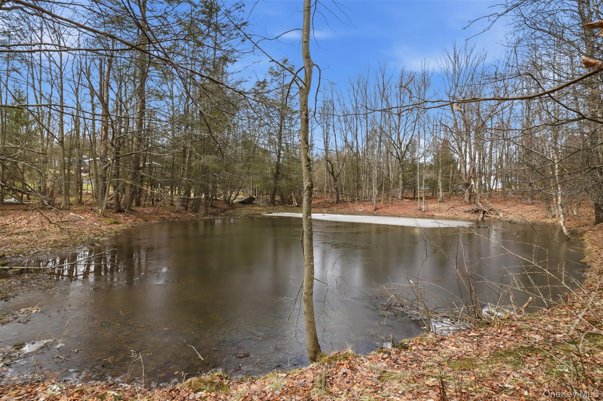 California Avenue, Liberty, NY 12754