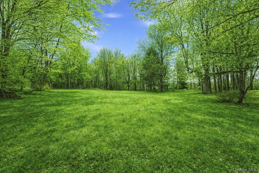 California Avenue, Liberty, NY 12754