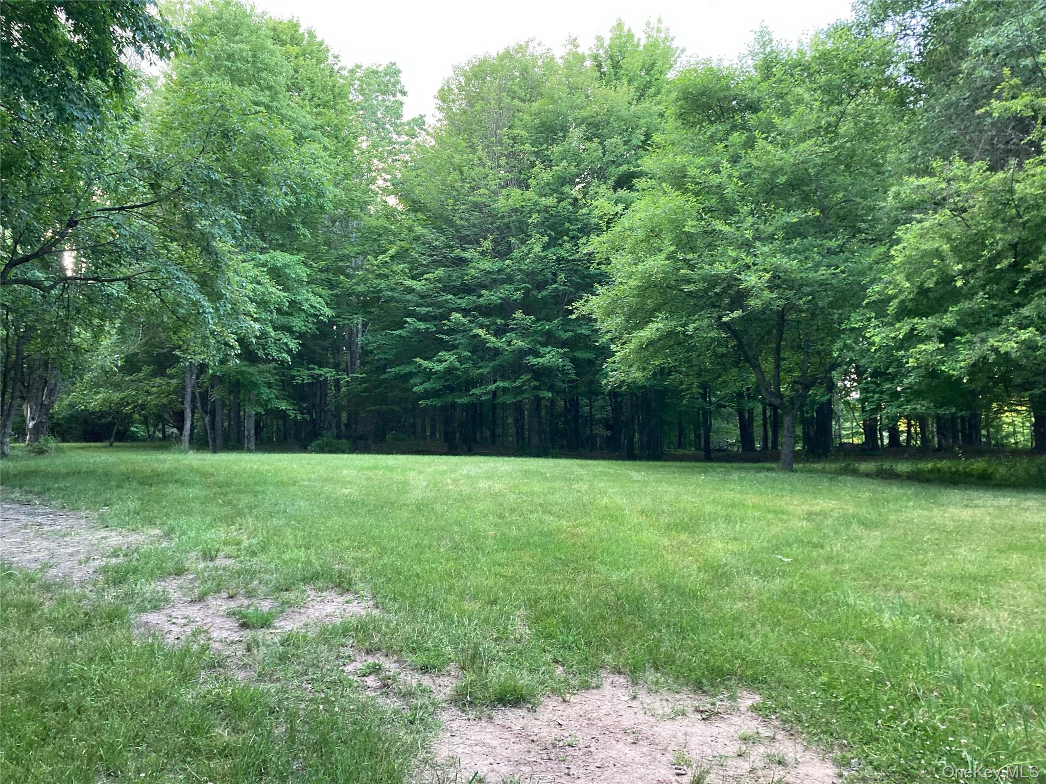 California Avenue, Liberty, NY 12754