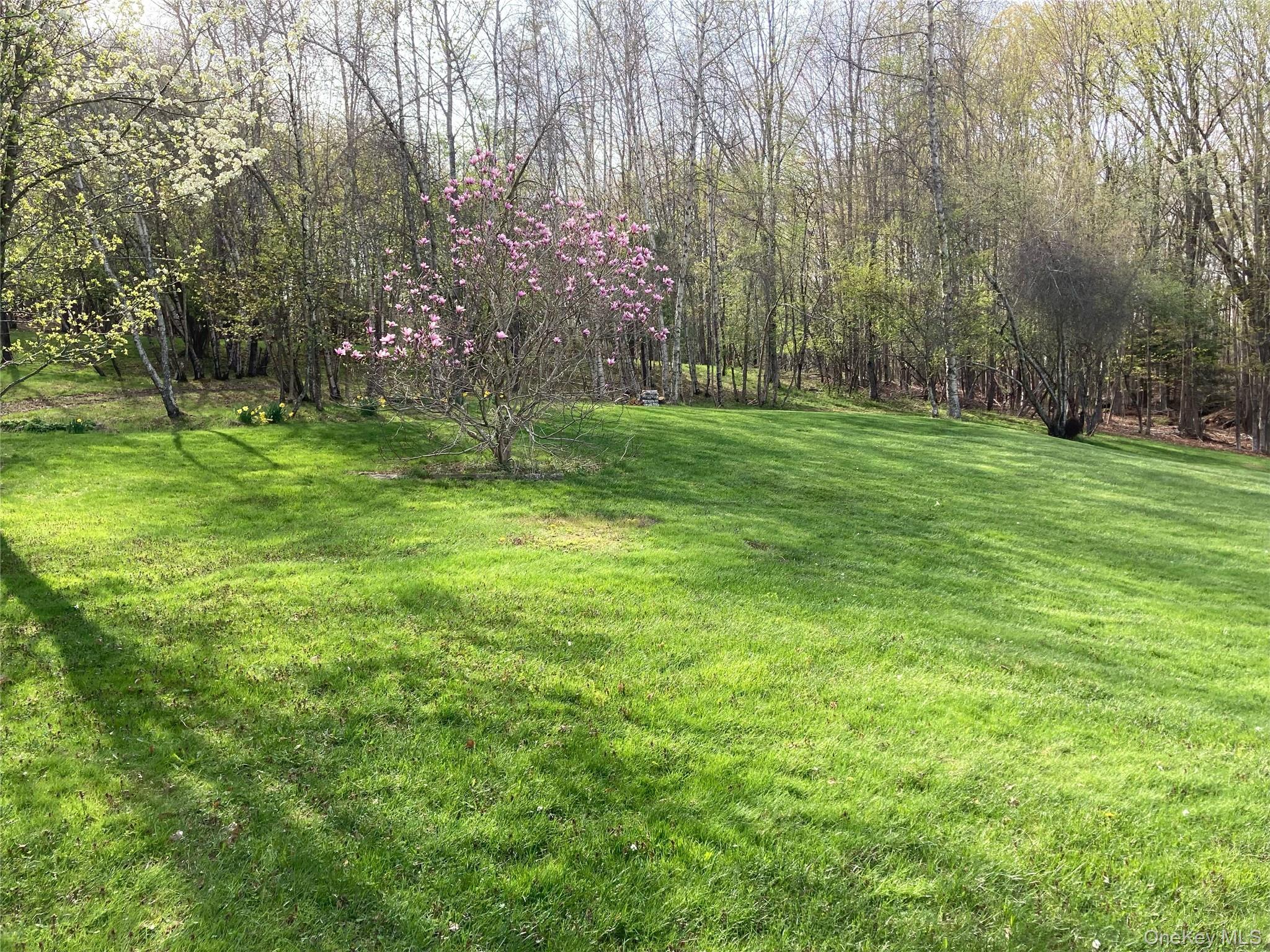 California Avenue, Liberty, NY 12754