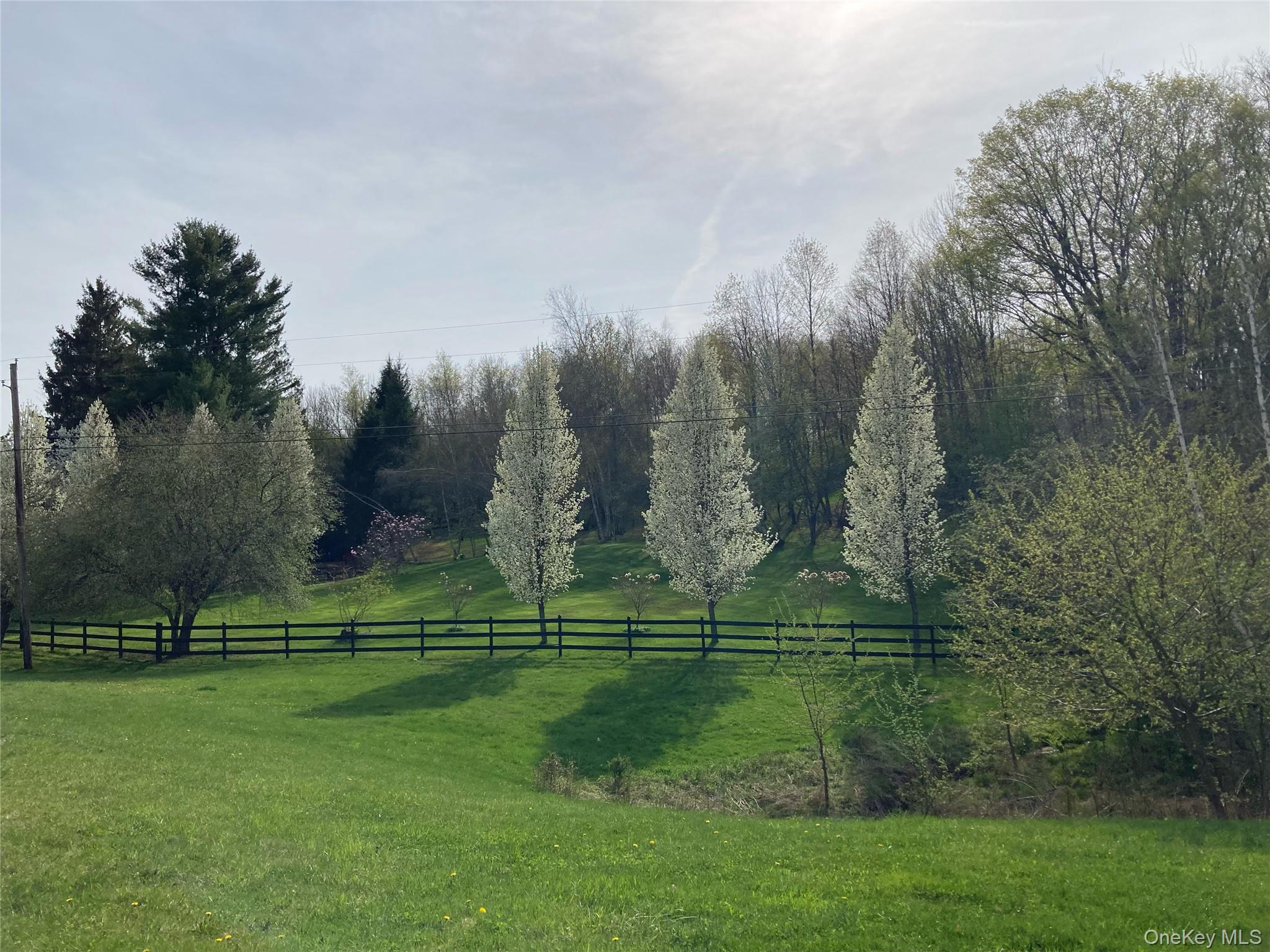 California Avenue, Liberty, NY 12754