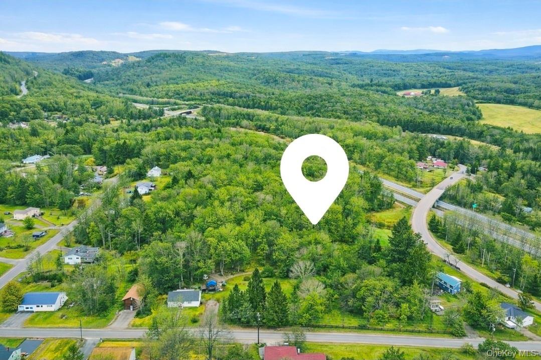 California Avenue, Liberty, NY 12754