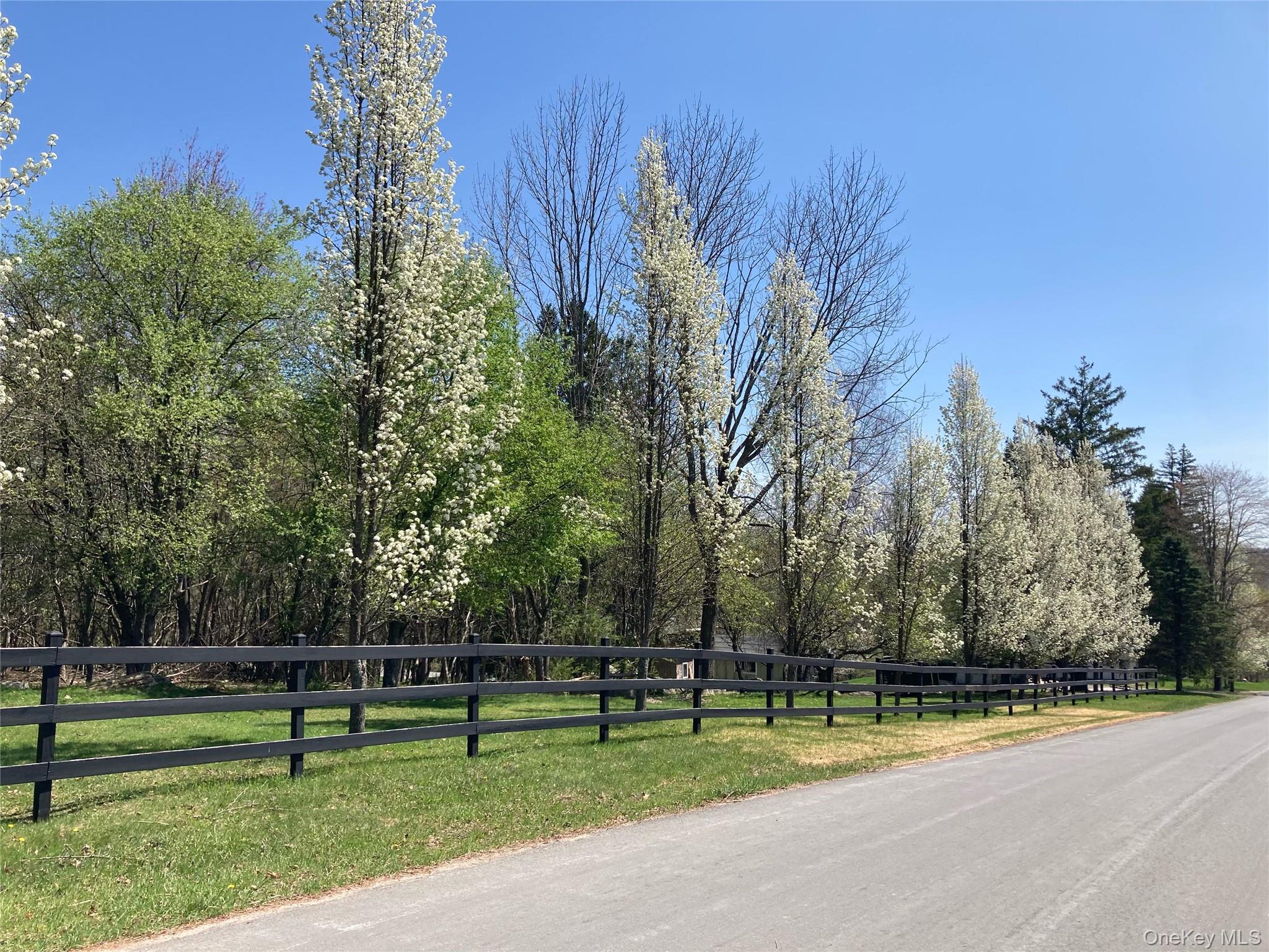 California Avenue, Liberty, NY 12754