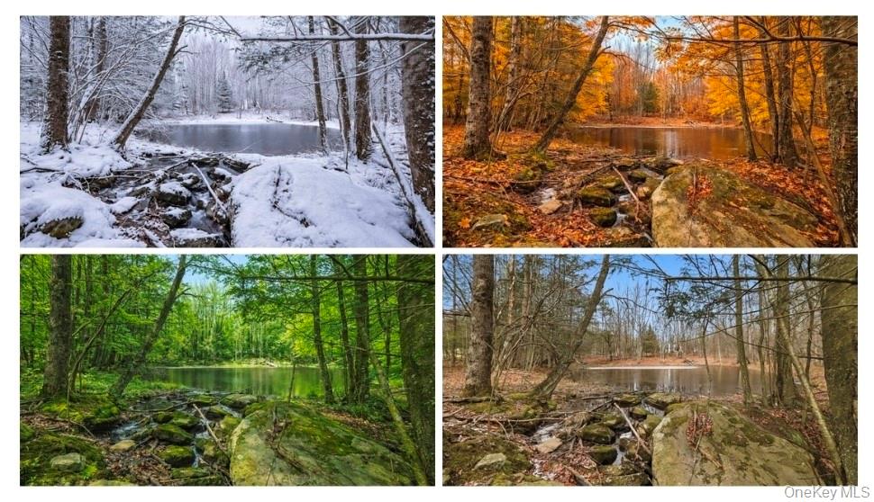 California Avenue, Liberty, NY 12754