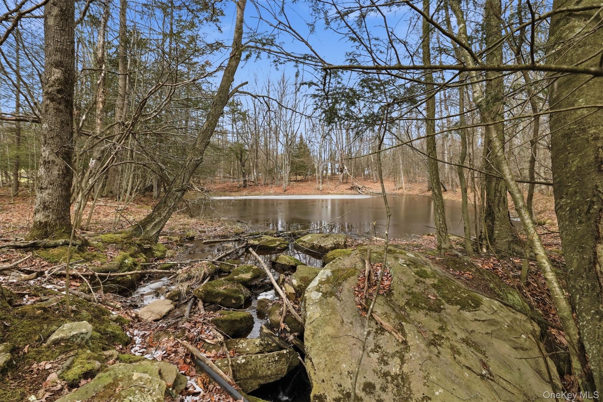 California Avenue, Liberty, NY 12754