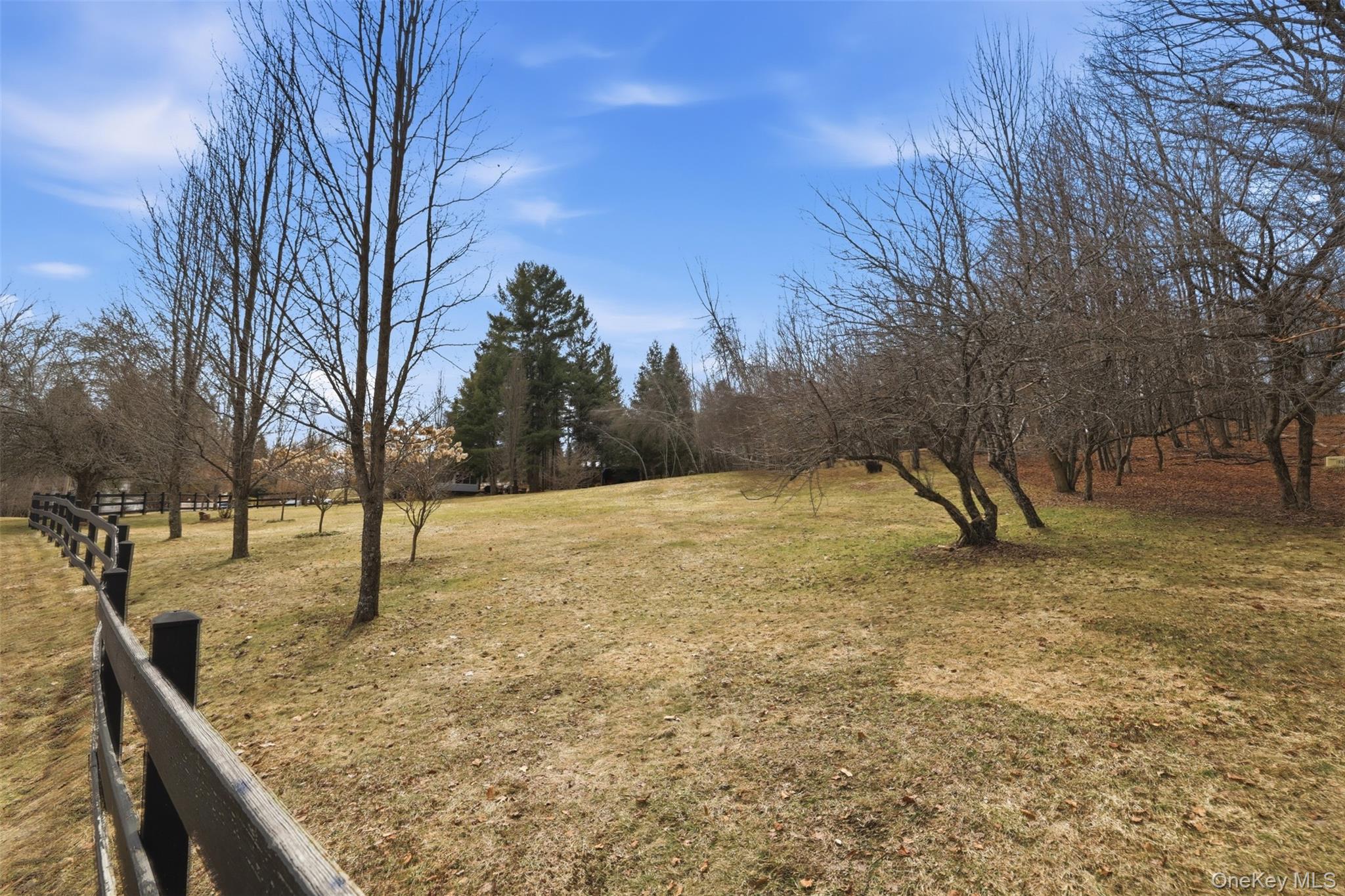 California Avenue, Liberty, NY 12754