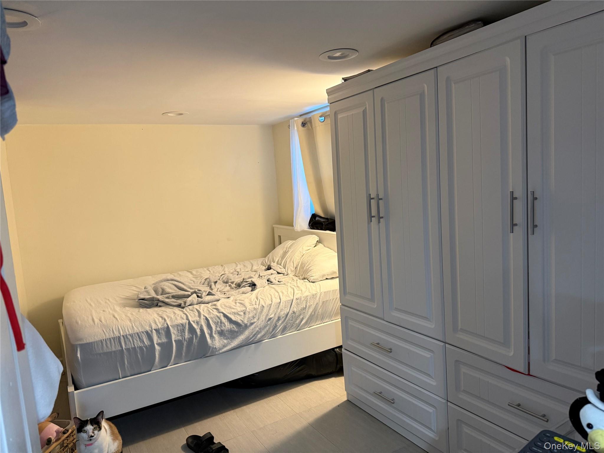 6111 156th Street, Flushing, NY 11367