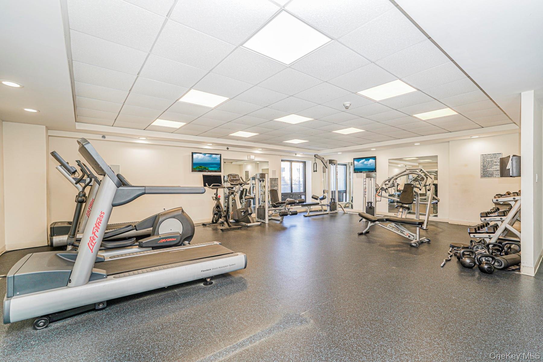 775 Lafayette # 5F, Brooklyn, NY 11221