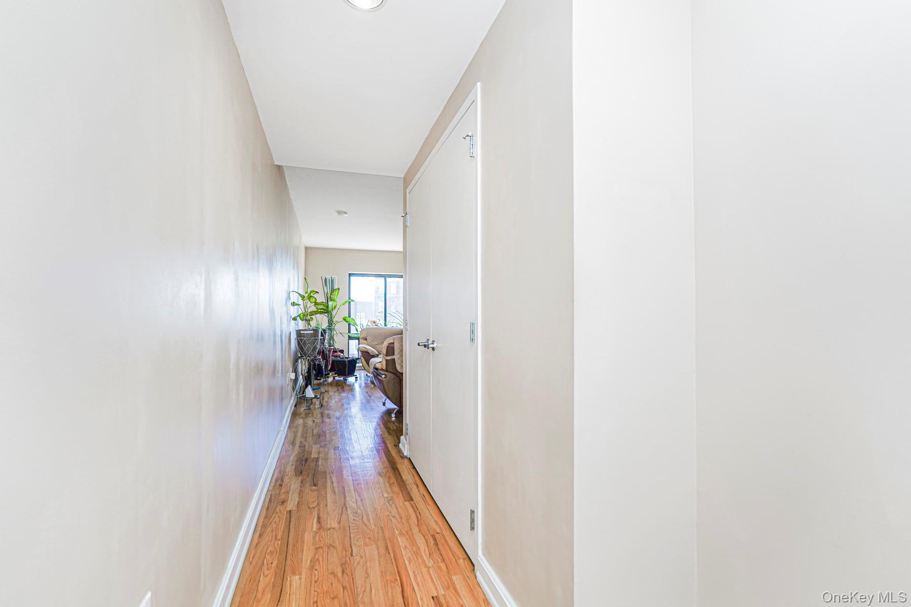 775 Lafayette # 5F, Brooklyn, NY 11221