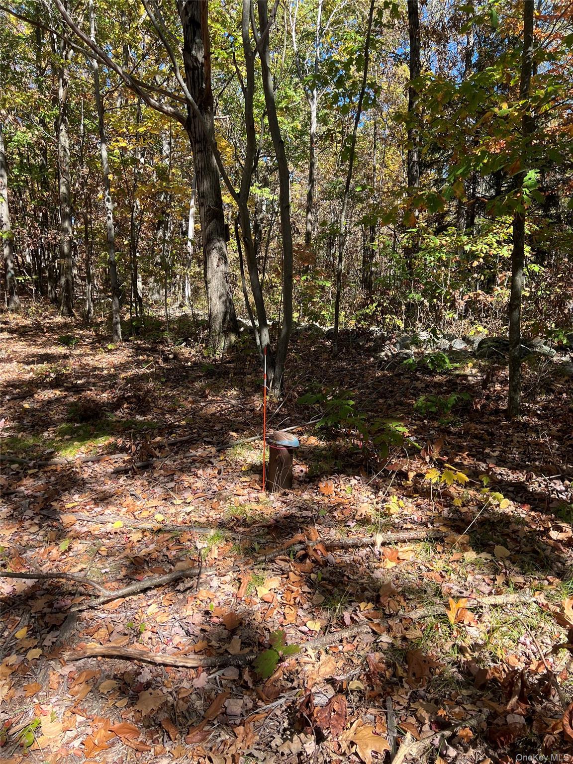 0 Harroway, Other, NY 12149