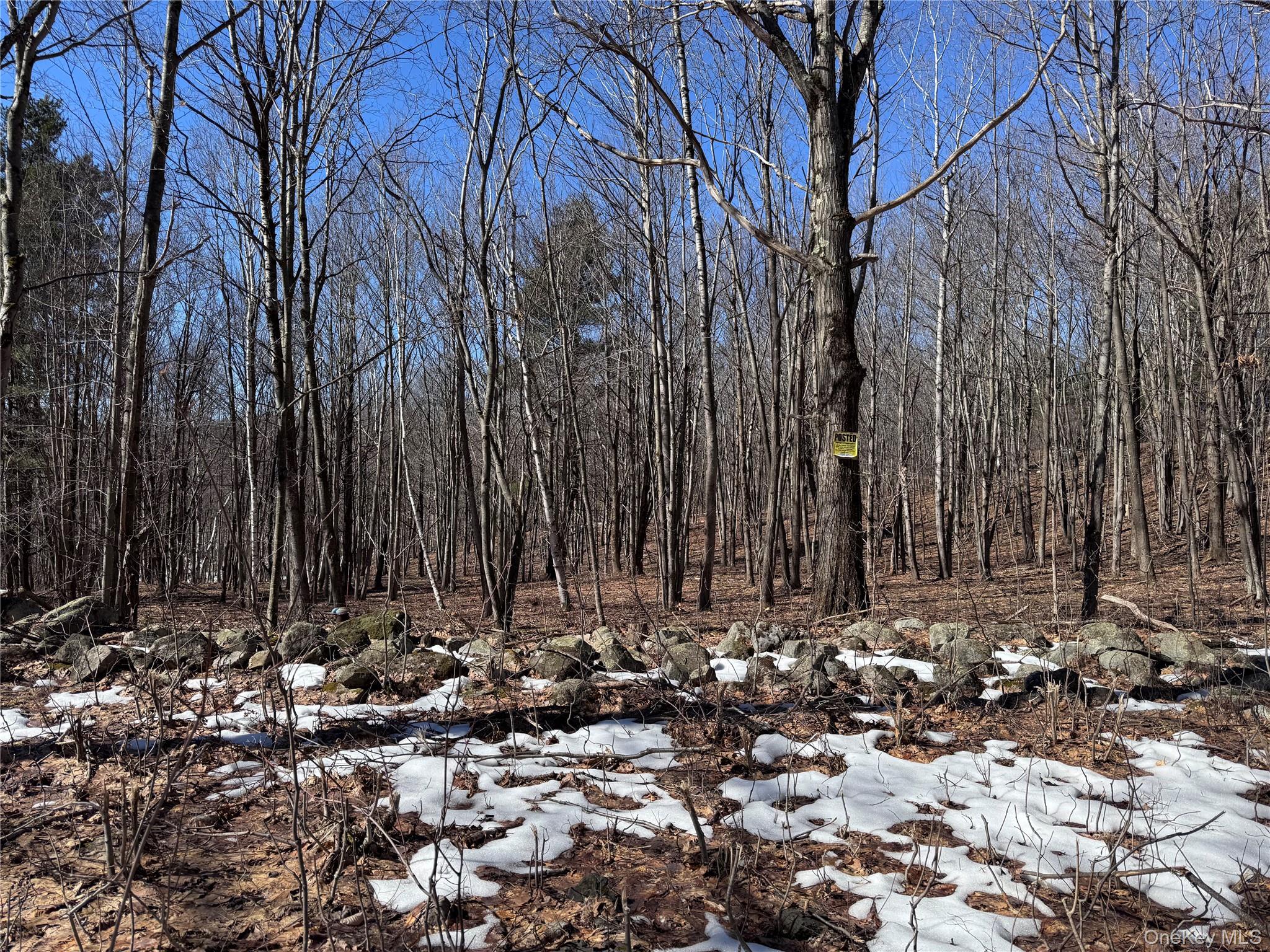 0 Harroway, Other, NY 12149