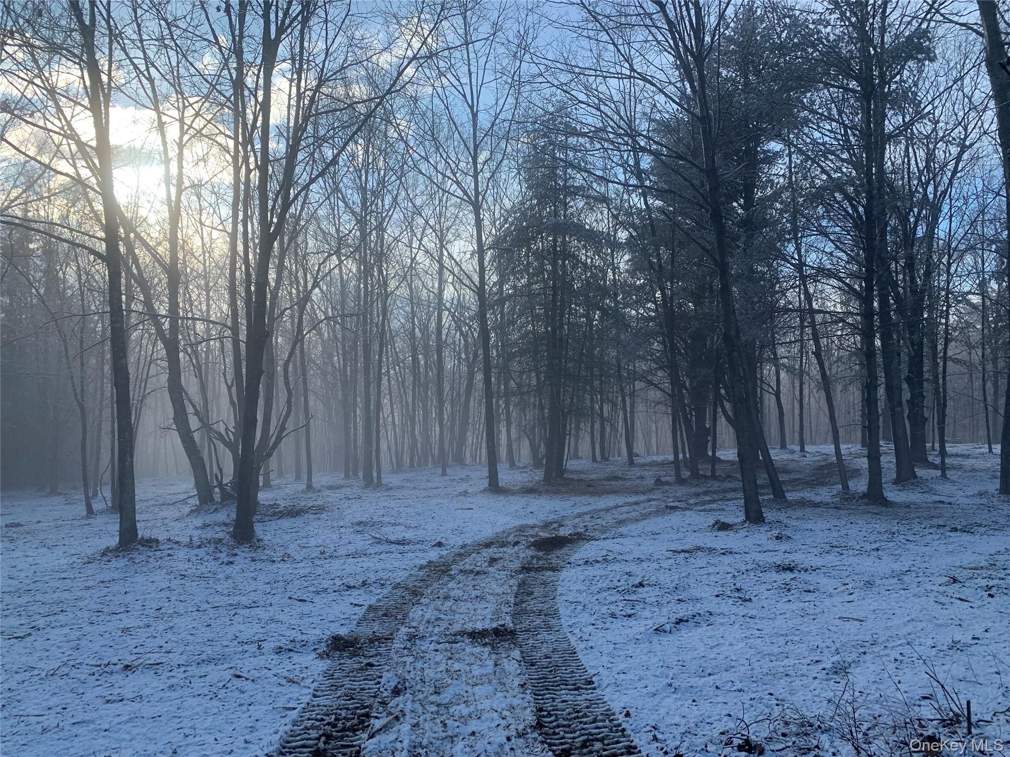 0 Harroway, Other, NY 12149