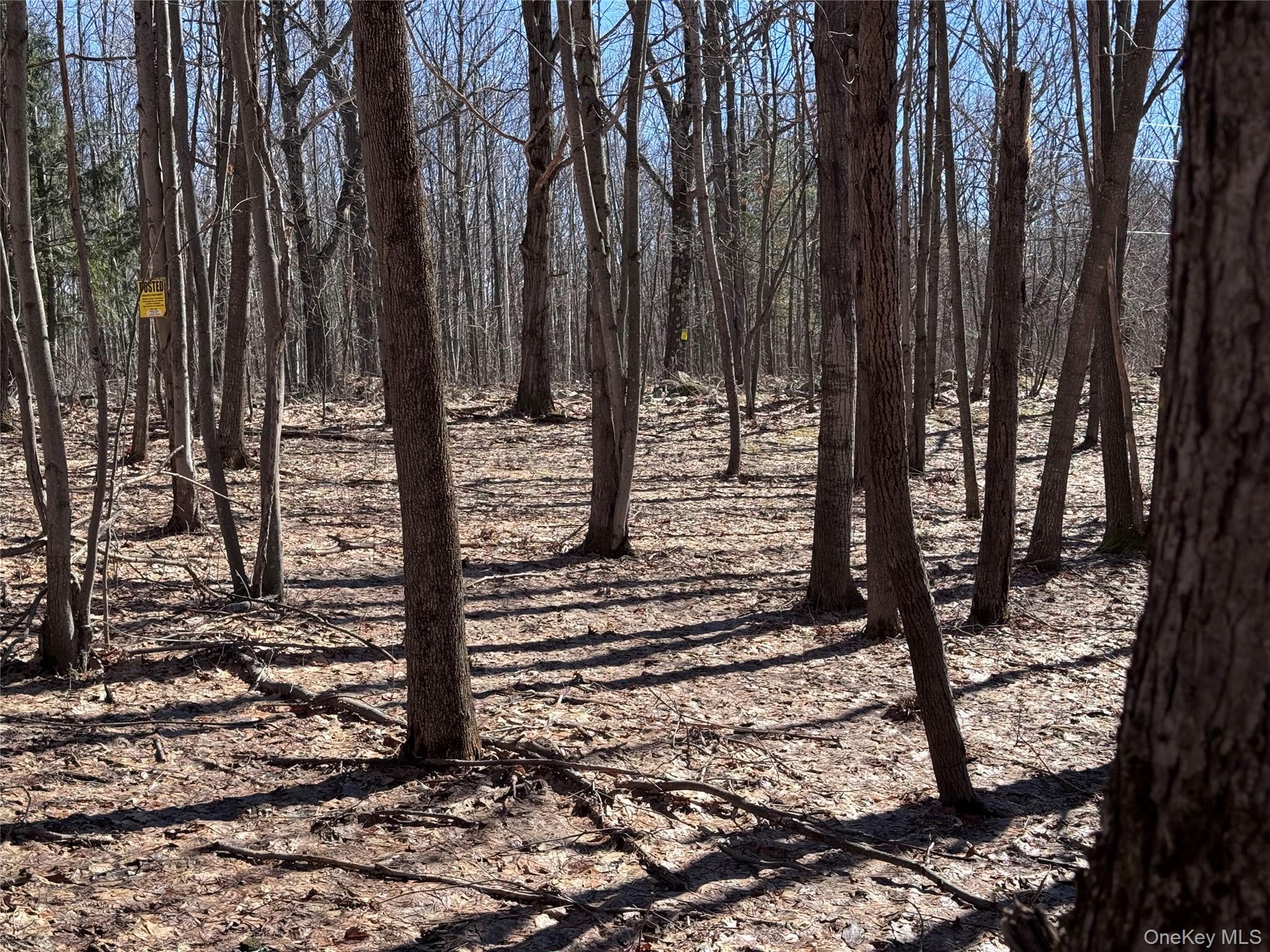 0 Harroway, Other, NY 12149