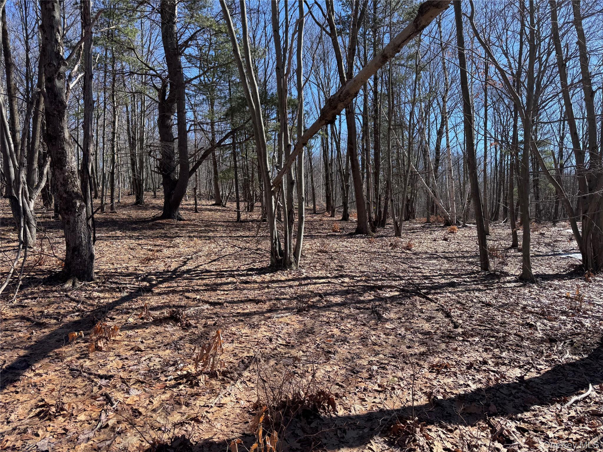 0 Harroway, Other, NY 12149