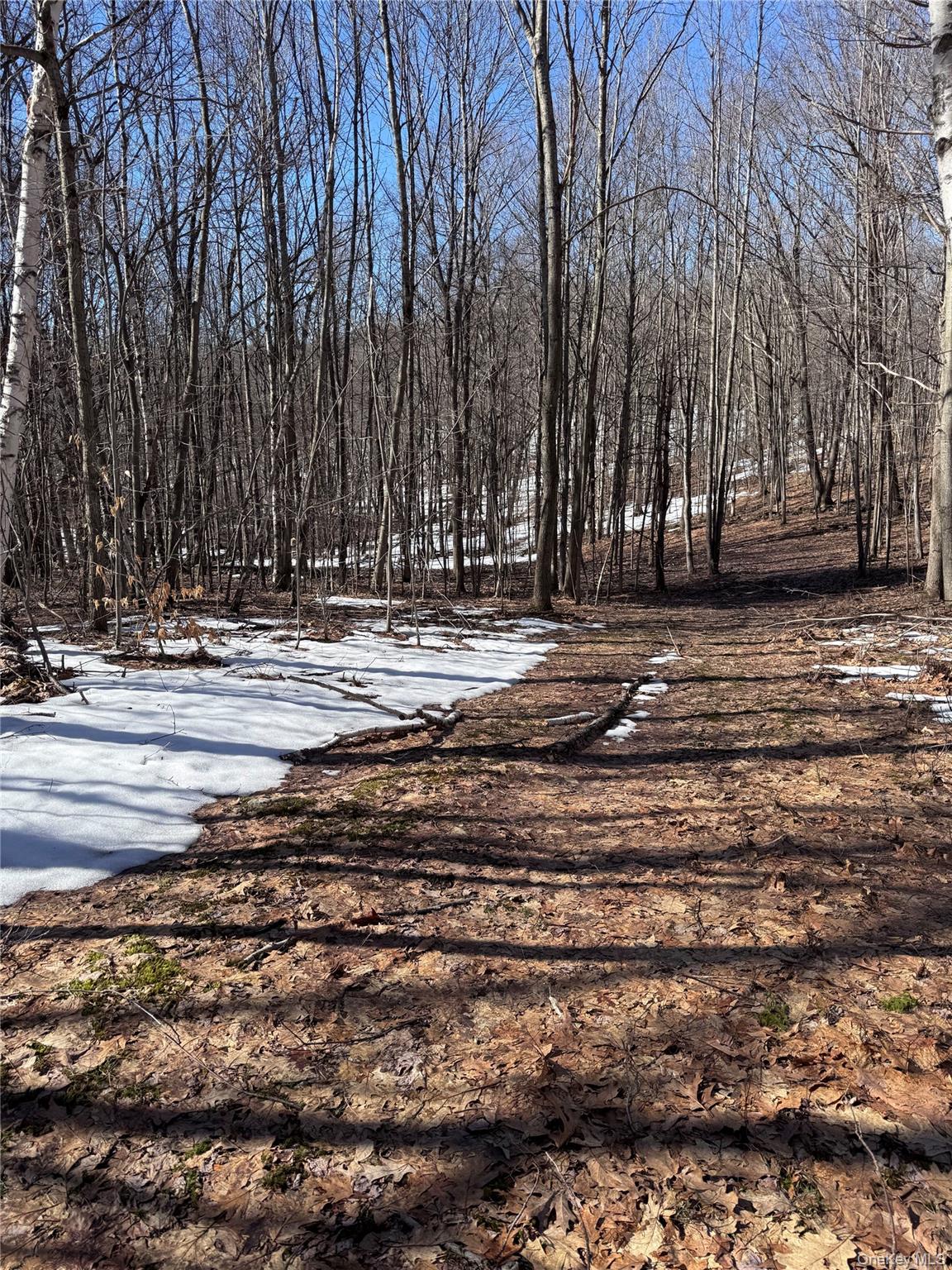 0 Harroway, Other, NY 12149