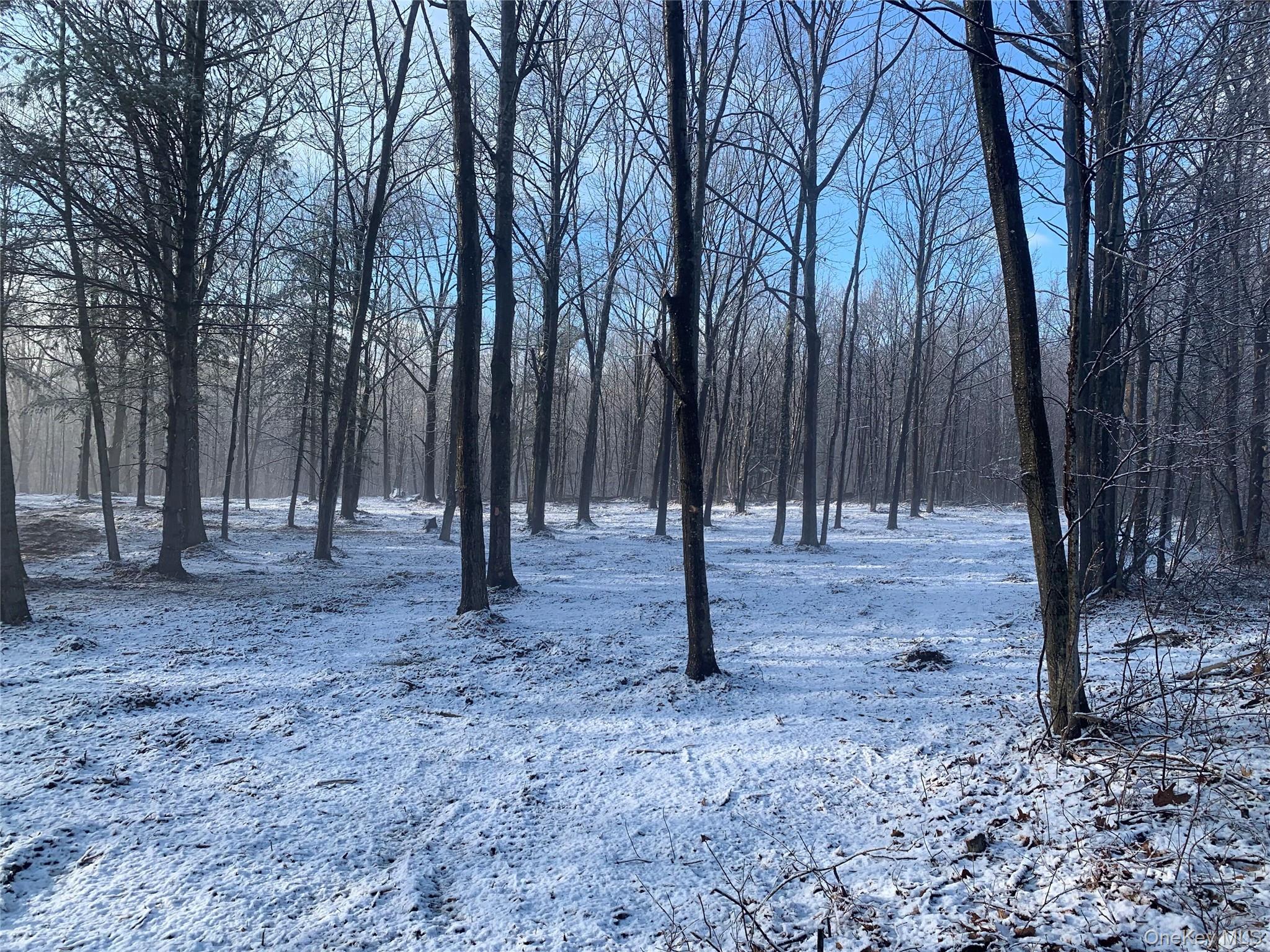 0 Harroway, Other, NY 12149