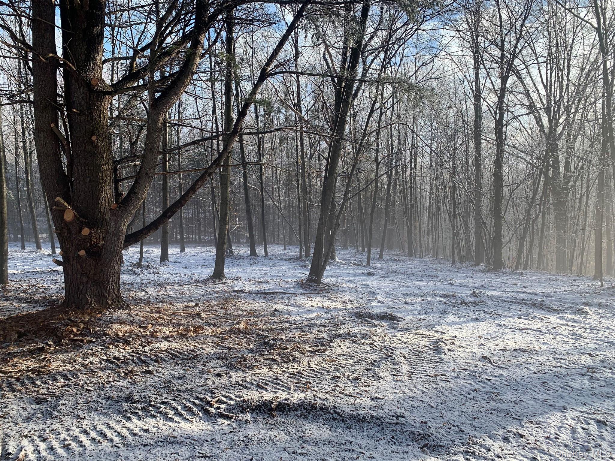 0 Harroway, Other, NY 12149