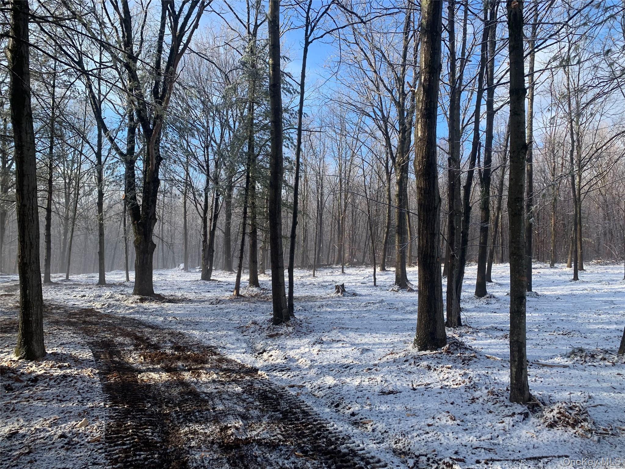 0 Harroway, Other, NY 12149