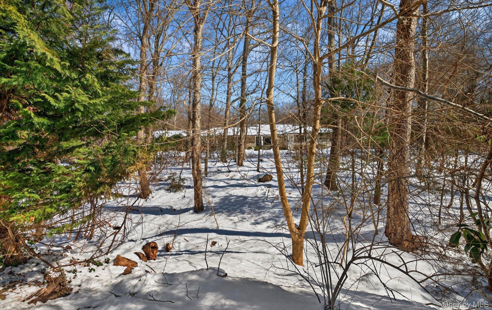 15 Tiber Road, Syosset, NY 11791