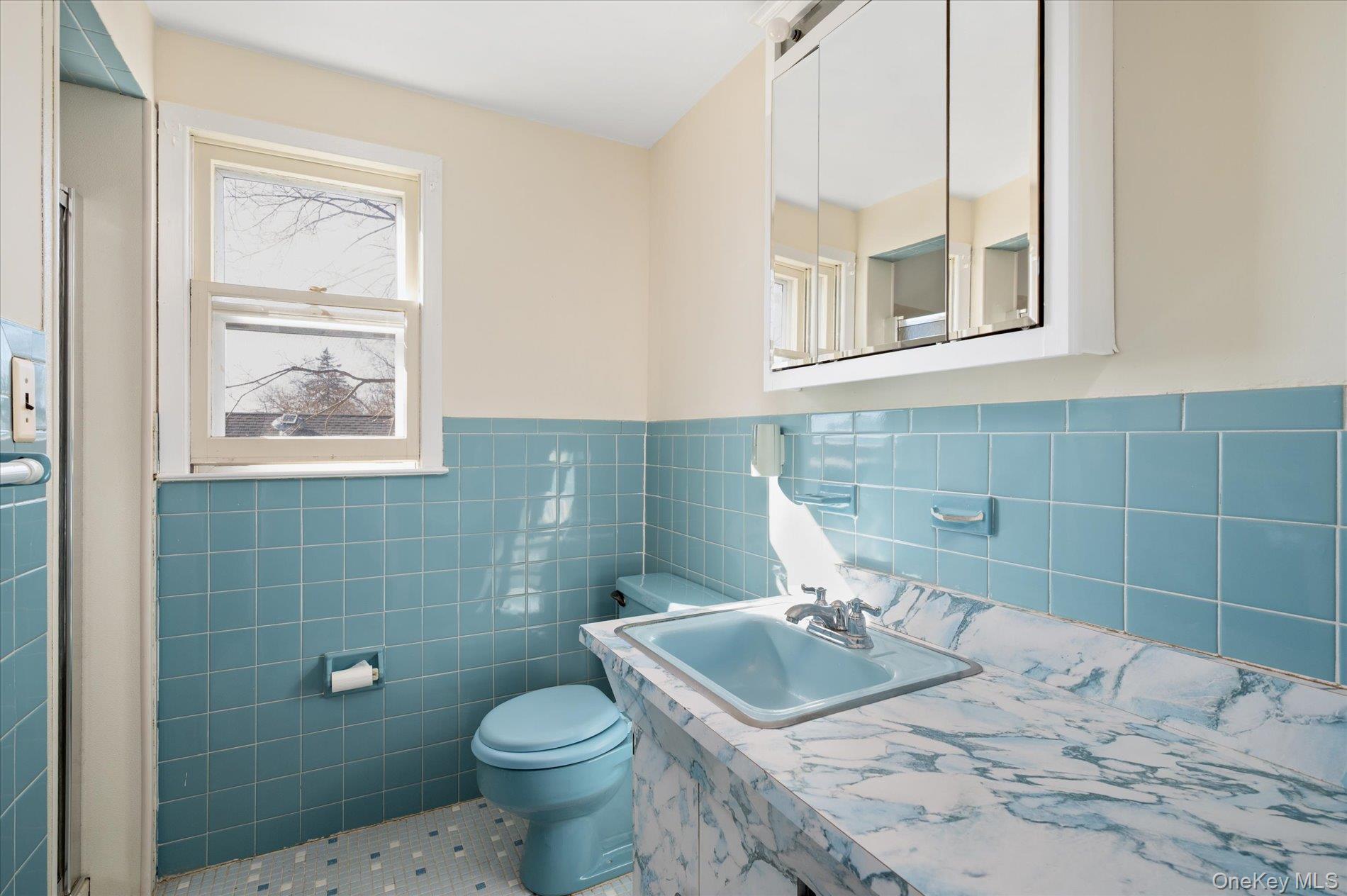 16 Seneca Drive, Massapequa, NY 11758