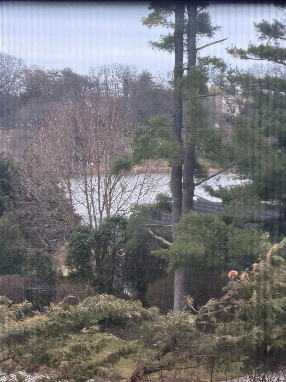 15 Cricket Lane, Great Neck, NY 11024