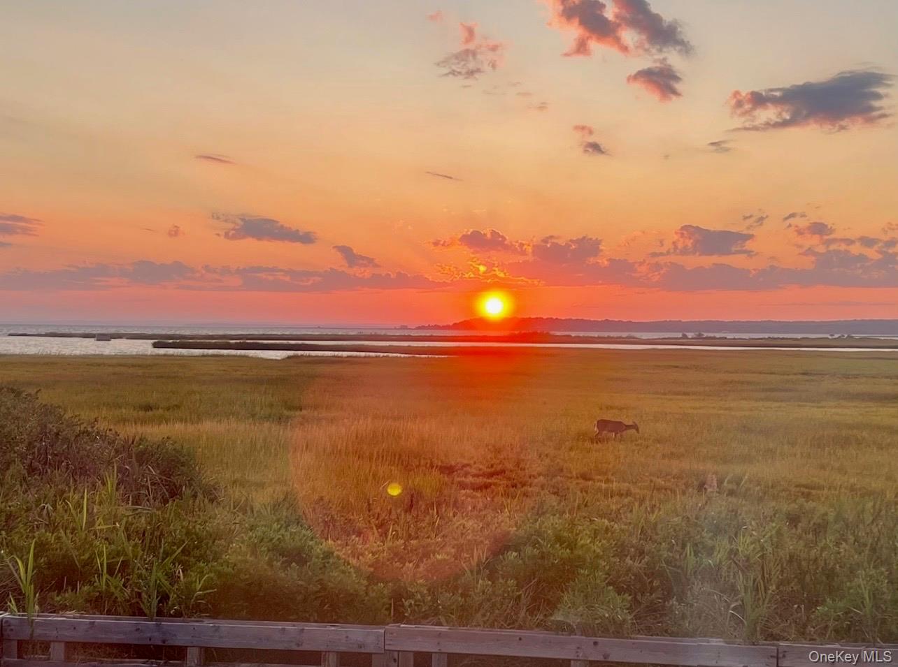 57 Nash Avenue, Flanders, NY 11901