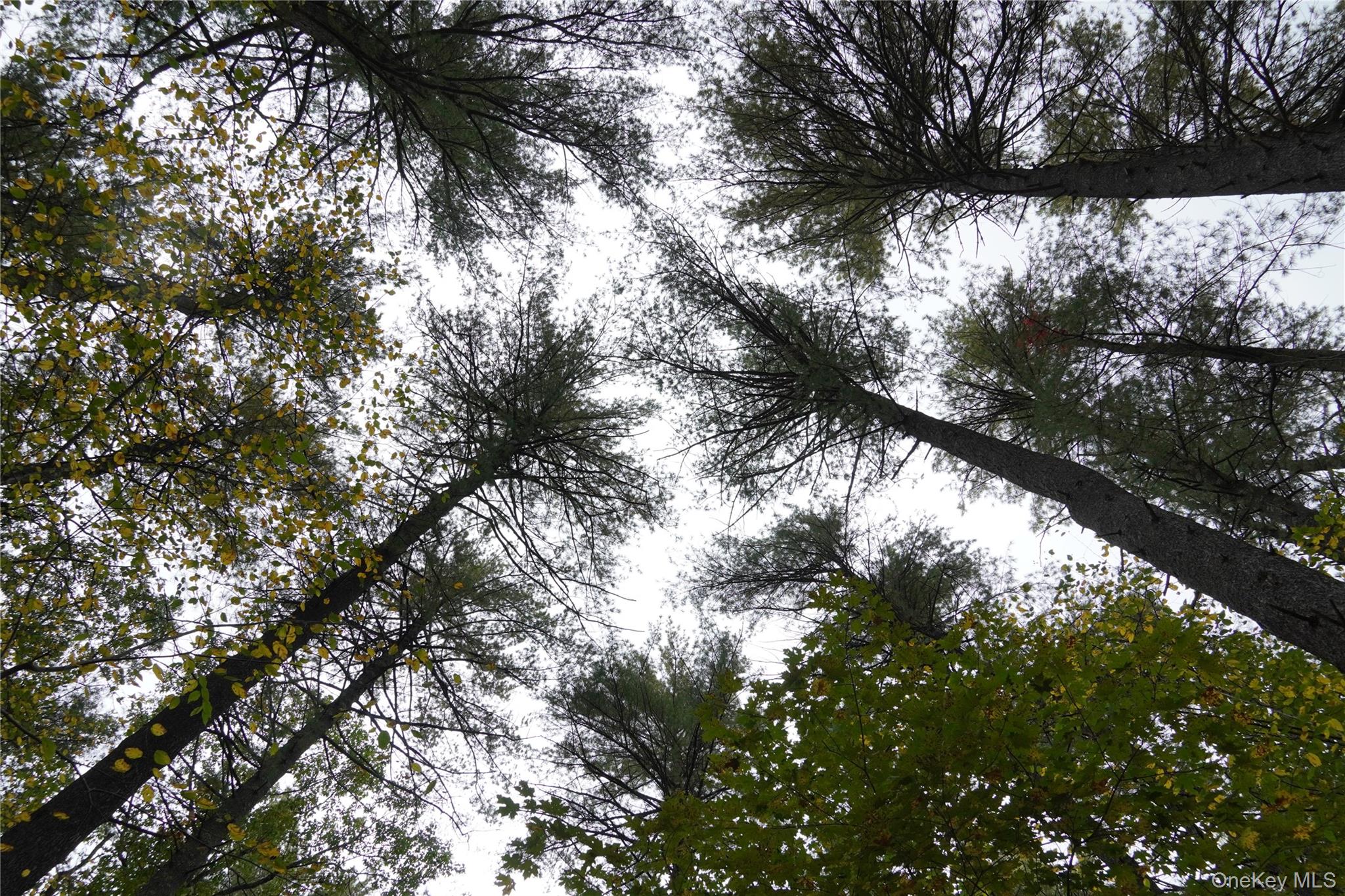 19 Stoutenburgh Drive, Hyde Park, NY 12538