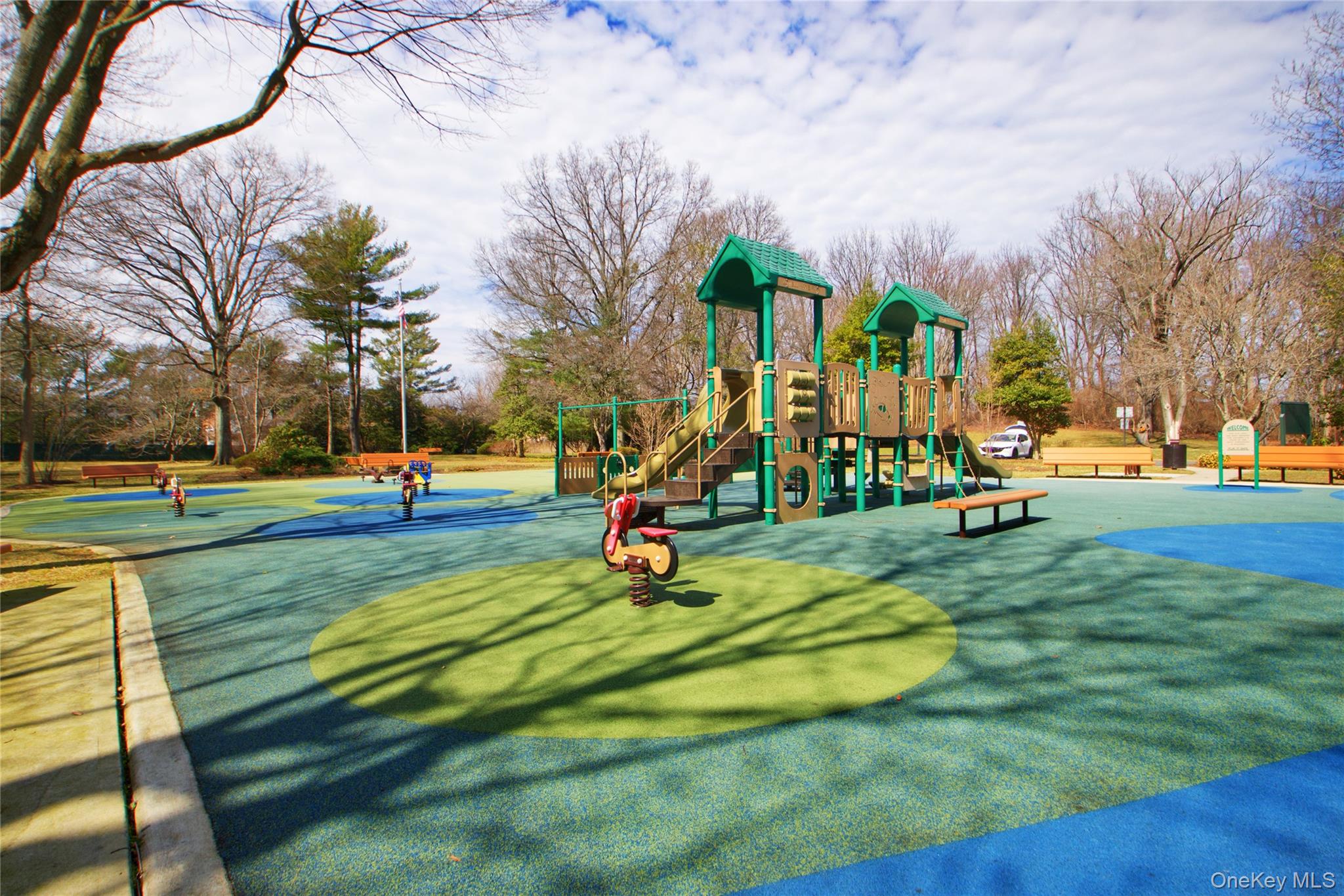 40 Cricket Club Drive, Roslyn, NY 11576