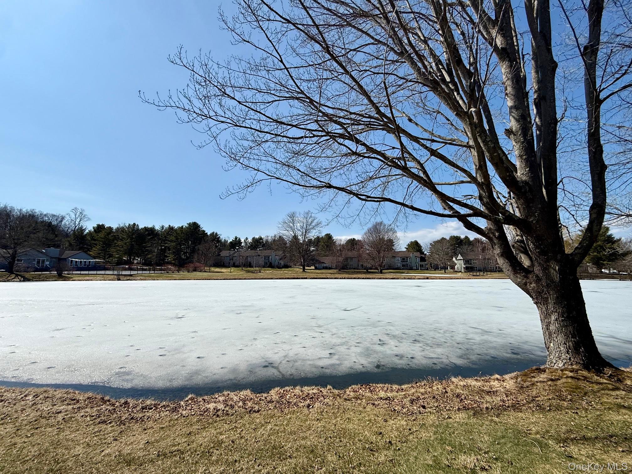 14 Pond Drive E, Rhinebeck, NY 12572