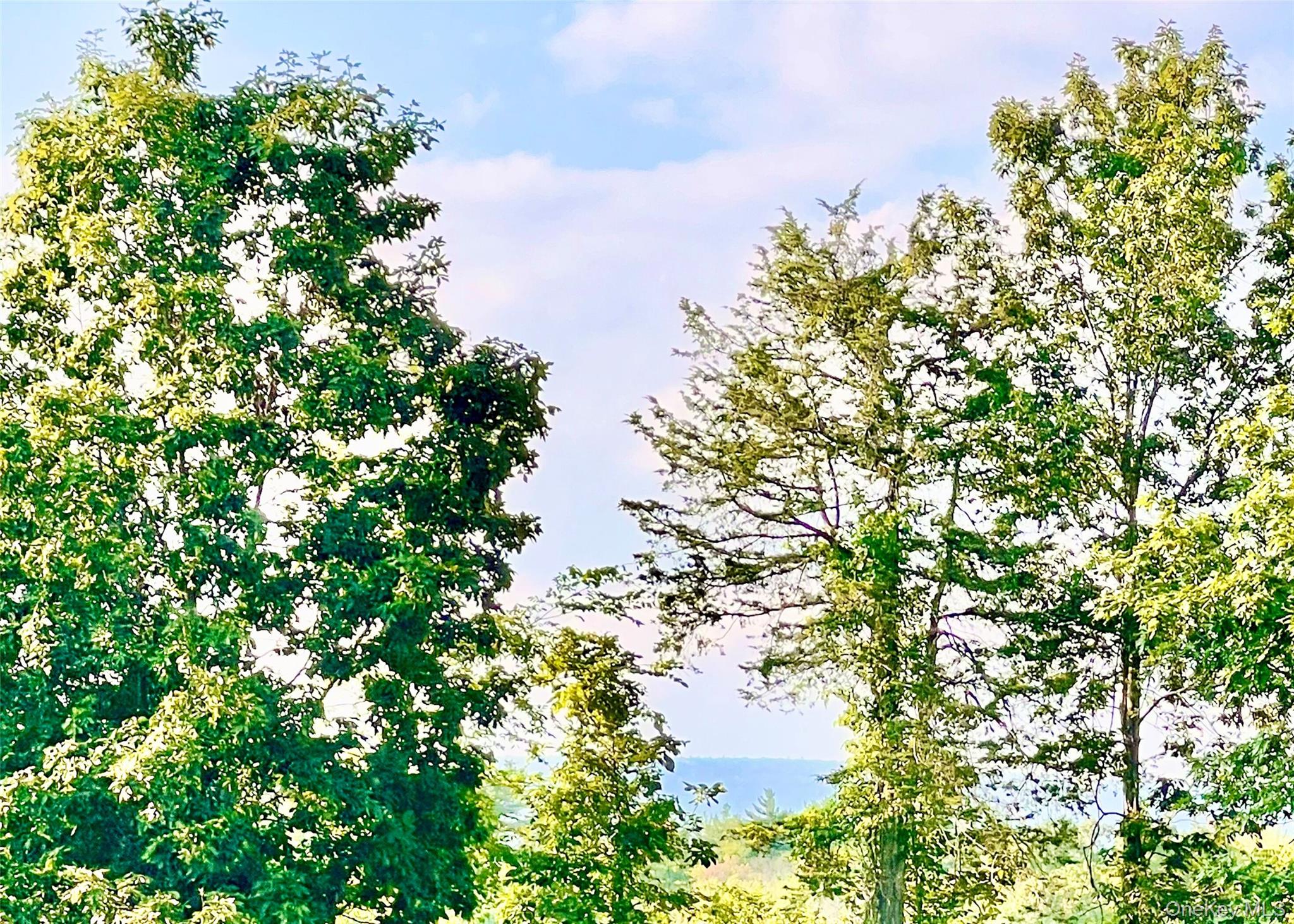 160 Pirog Road, Pine Bush, NY 12566