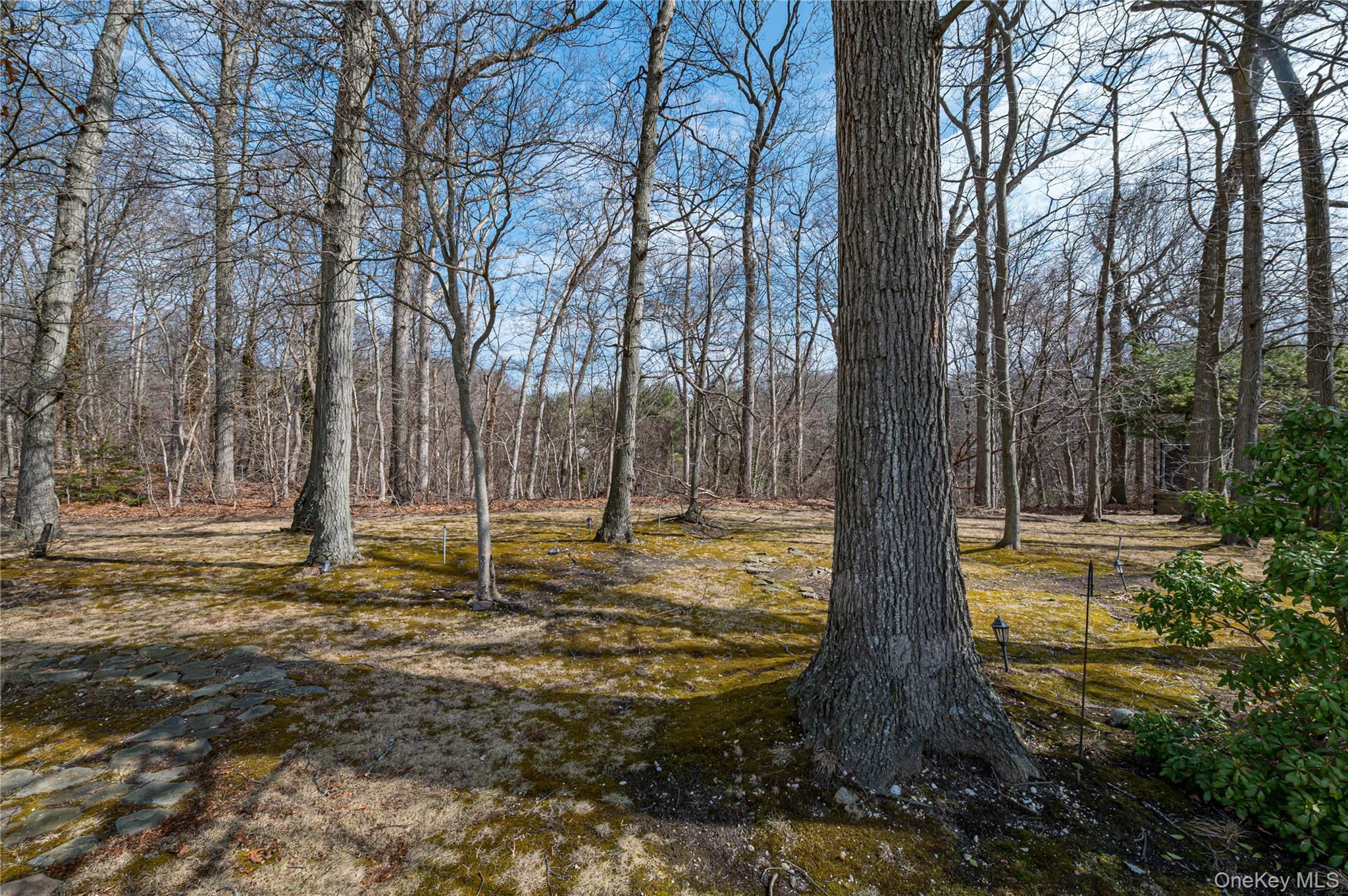 19 Tamara Court, Melville, NY 11747