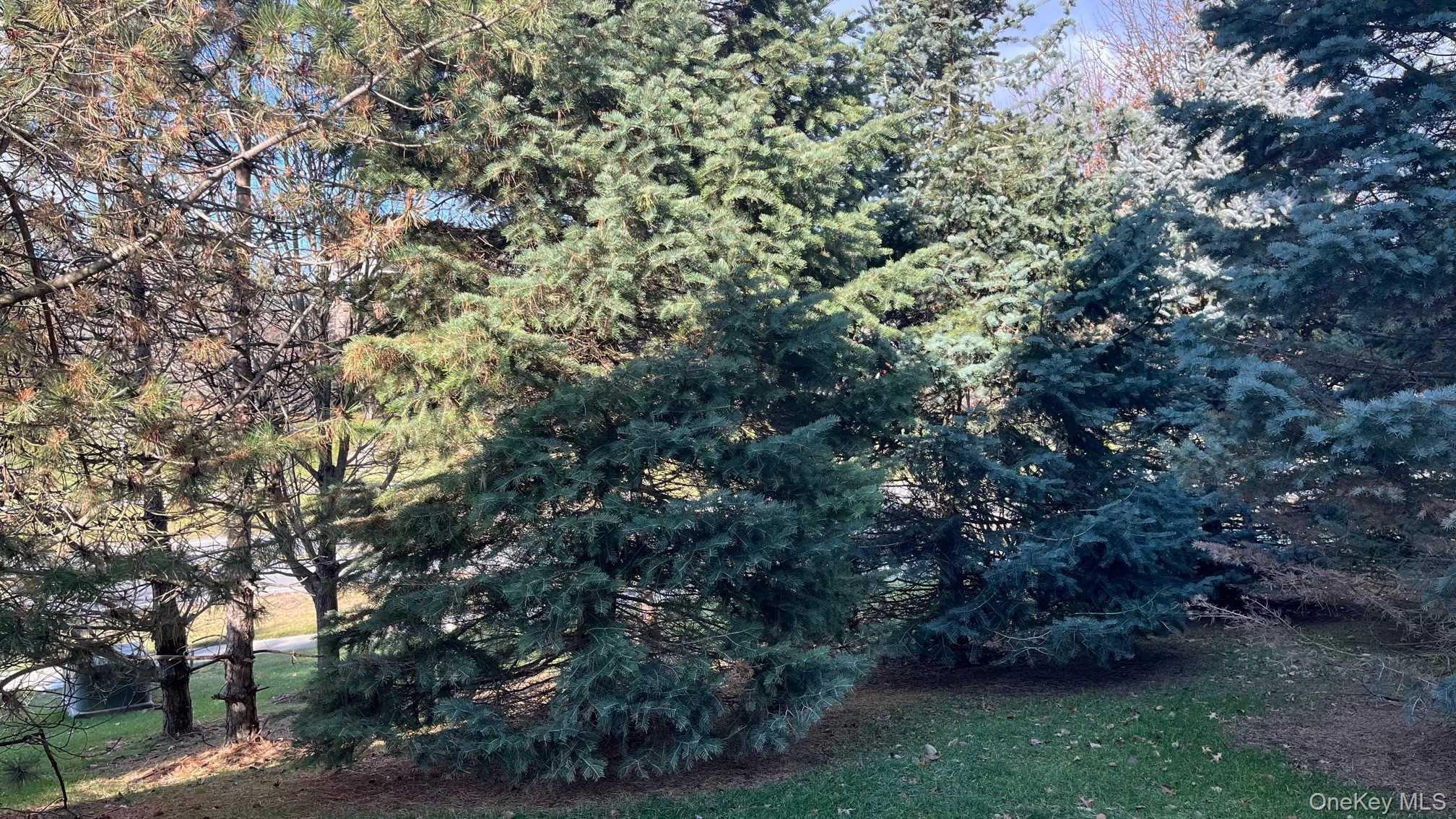 734 HUNTINGTON Drive # 0, Fishkill, NY 12524