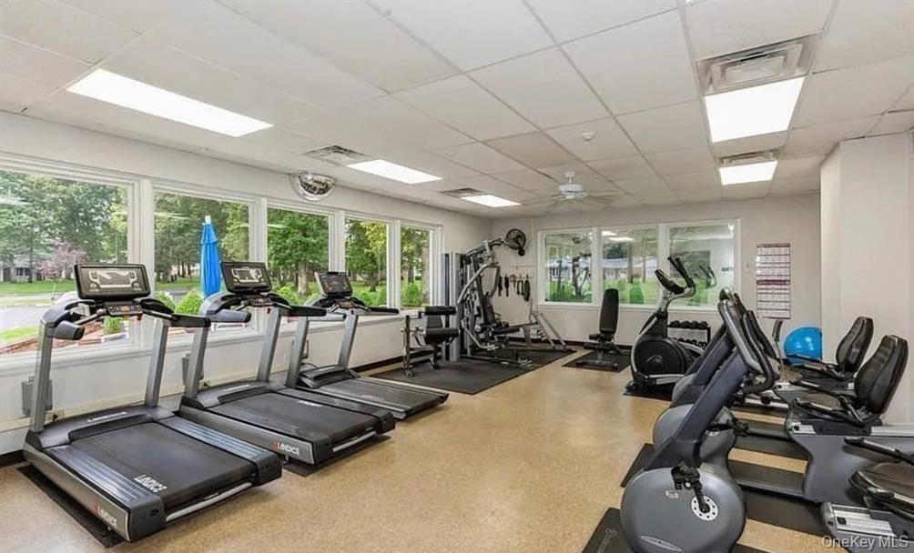 395 Woodbridge Drive # C, Ridge, NY 11961