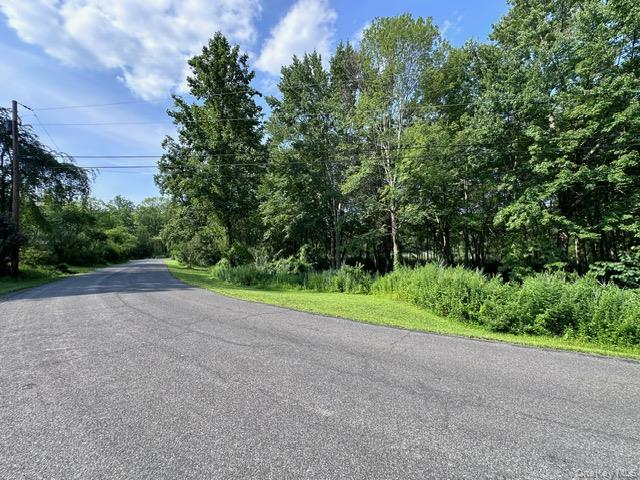 Crest Lane, Highland, NY 12528