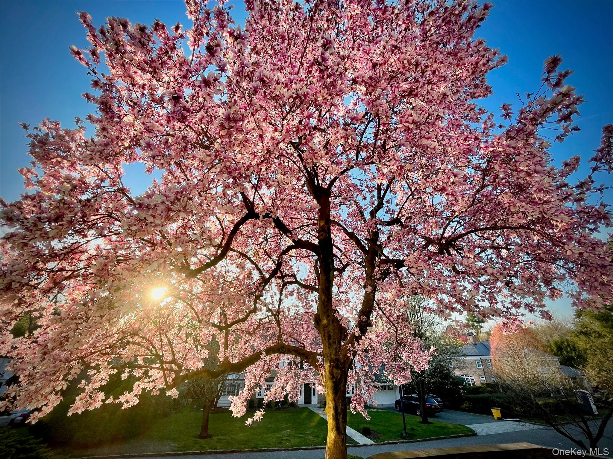 22 Taunton Road, Scarsdale, NY 10583