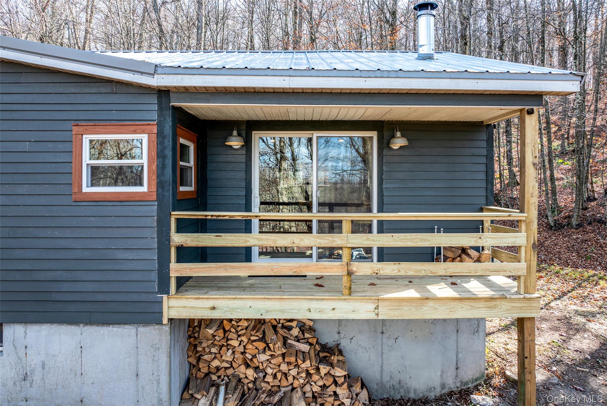 464 Curtis Lane, Hamden, NY 13782