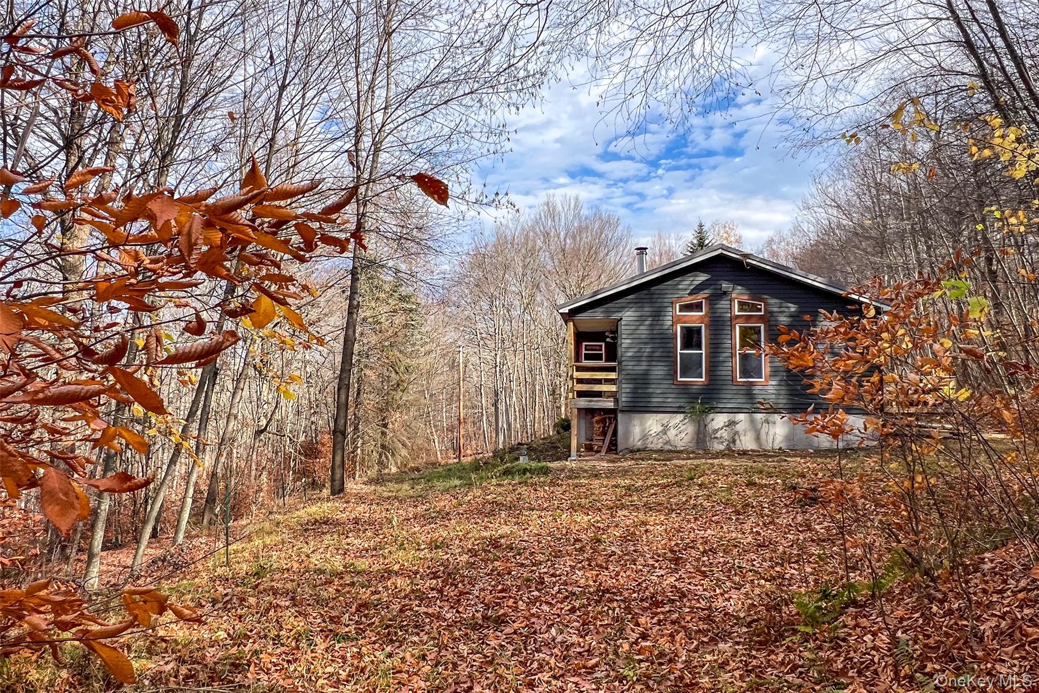 464 Curtis Lane, Hamden, NY 13782