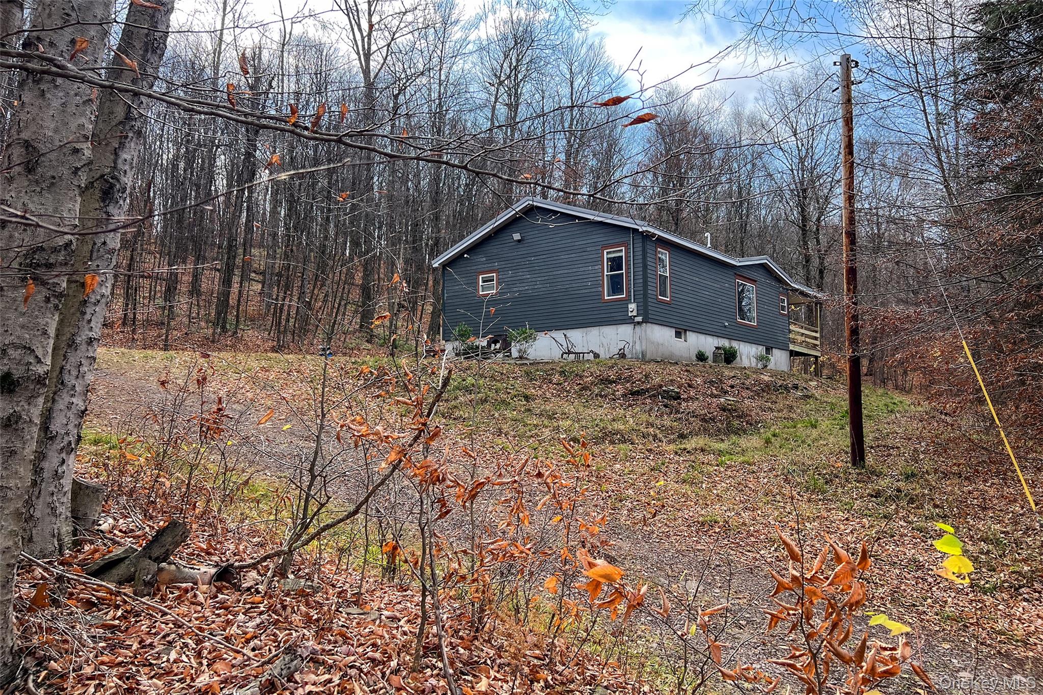 464 Curtis Lane, Hamden, NY 13782