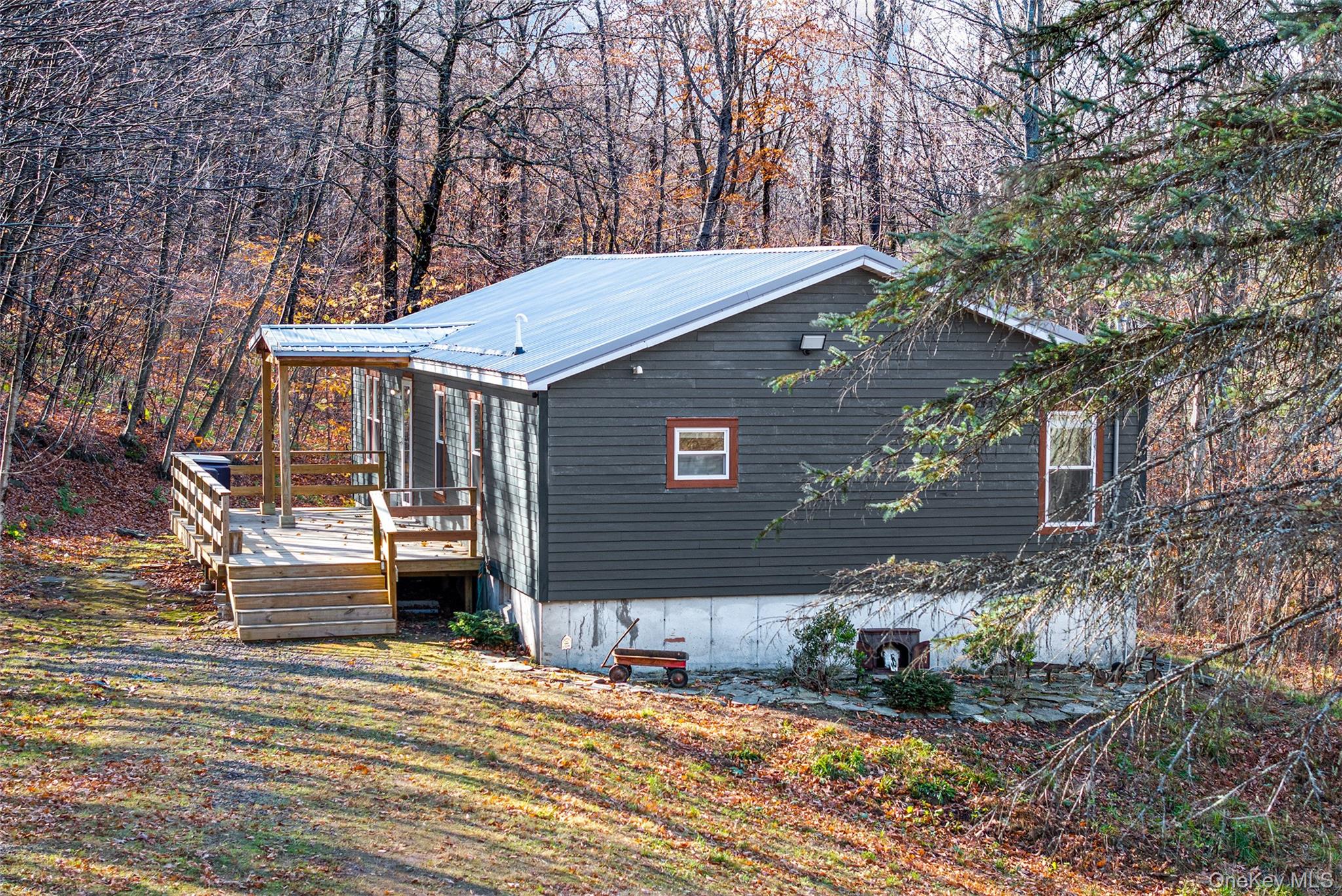 464 Curtis Lane, Hamden, NY 13782