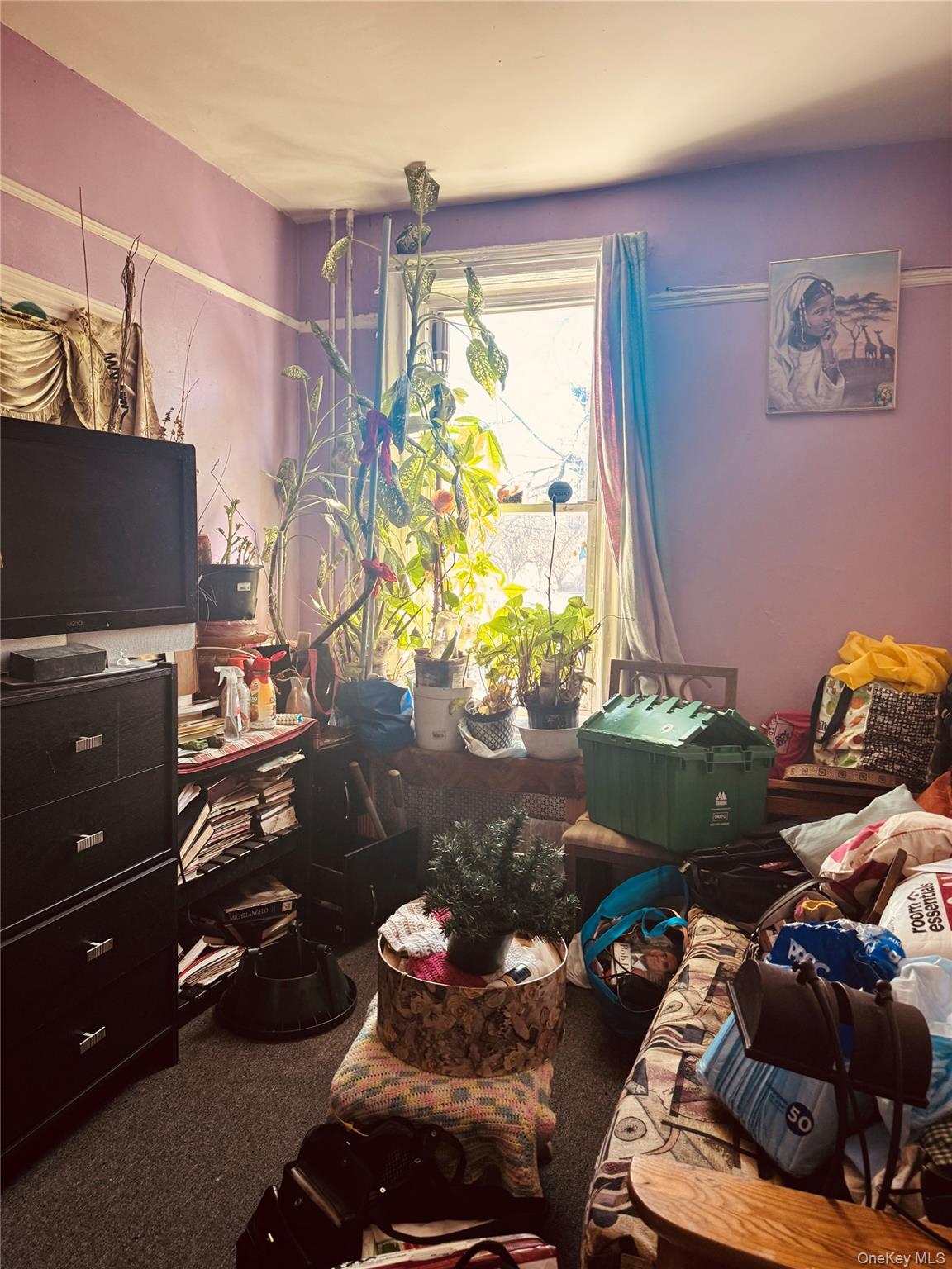 928 E 215th Street, Bronx, NY 10469