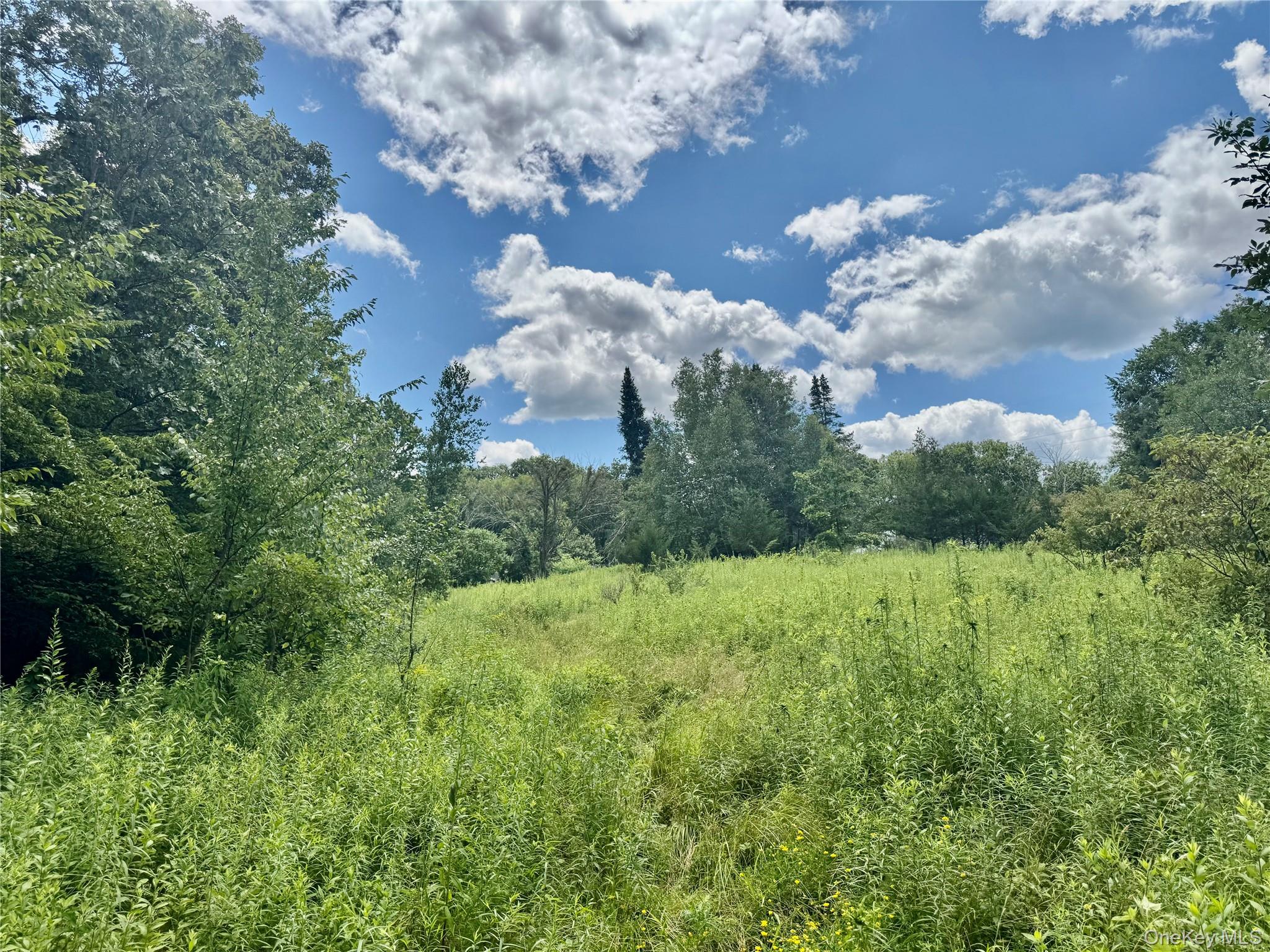 64 Homestead Lane, Otisville, NY 10963