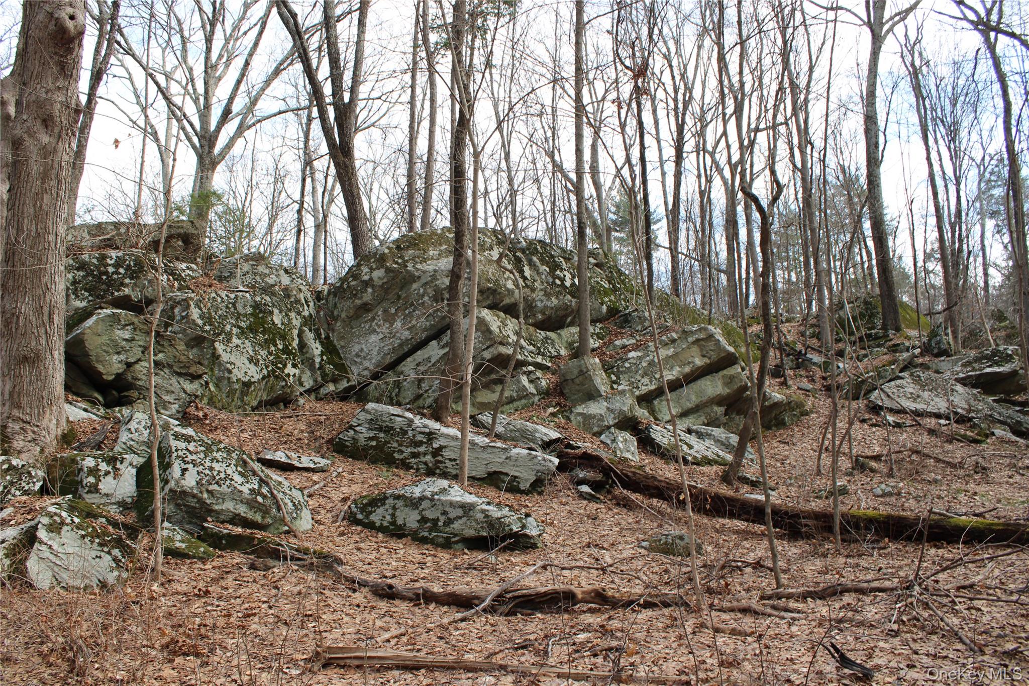 19 S Cross Road, Staatsburg, NY 12580